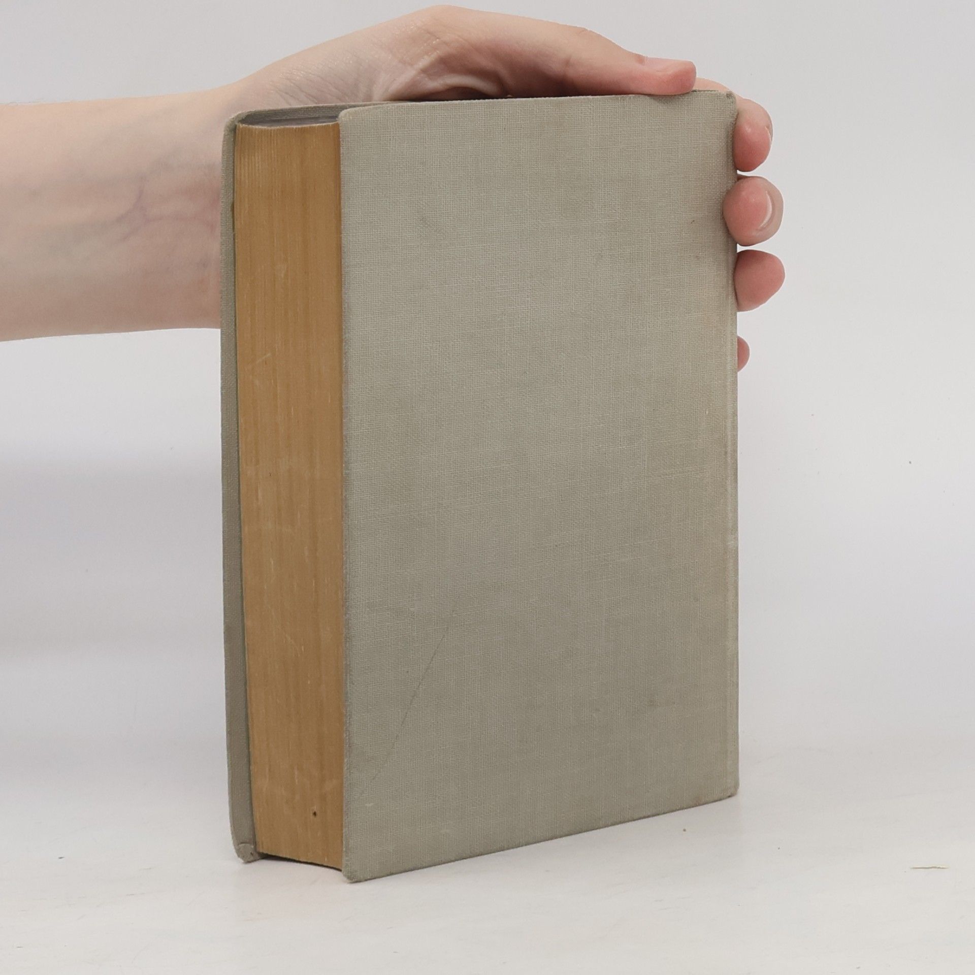 Volný Jan Deutsch-tschechisches Wörterbuch