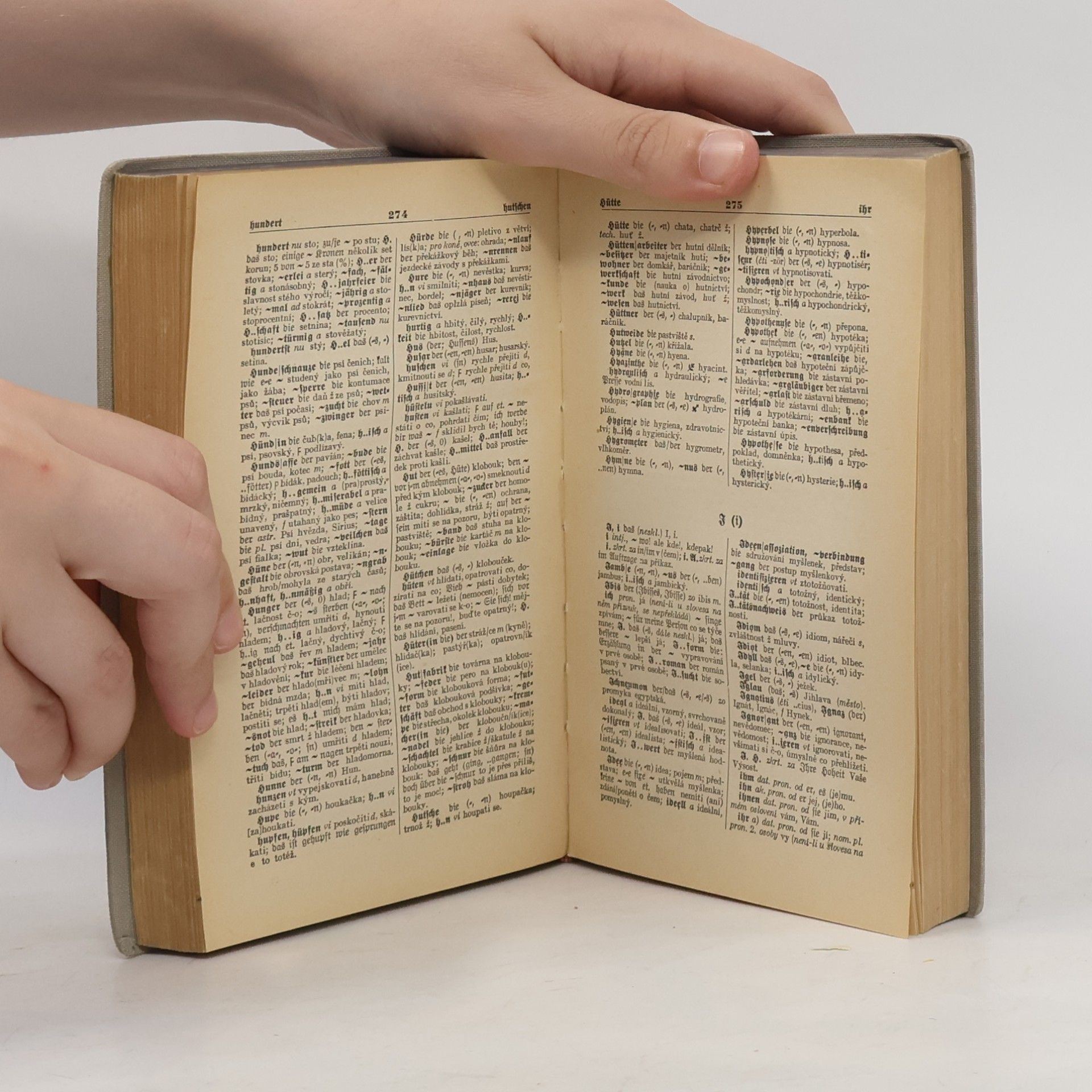 Volný Jan Deutsch-tschechisches Wörterbuch
