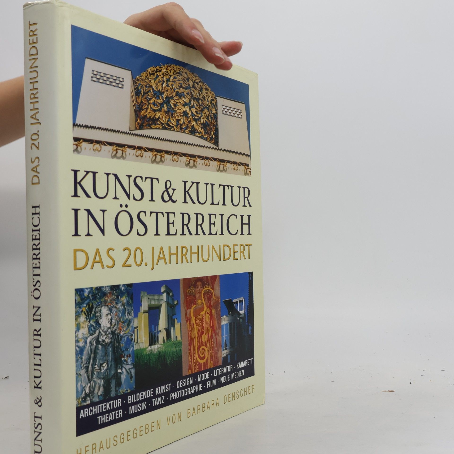 Barbara Denscher Kunst & Kultur in Österreich das 20. Jahrhundert