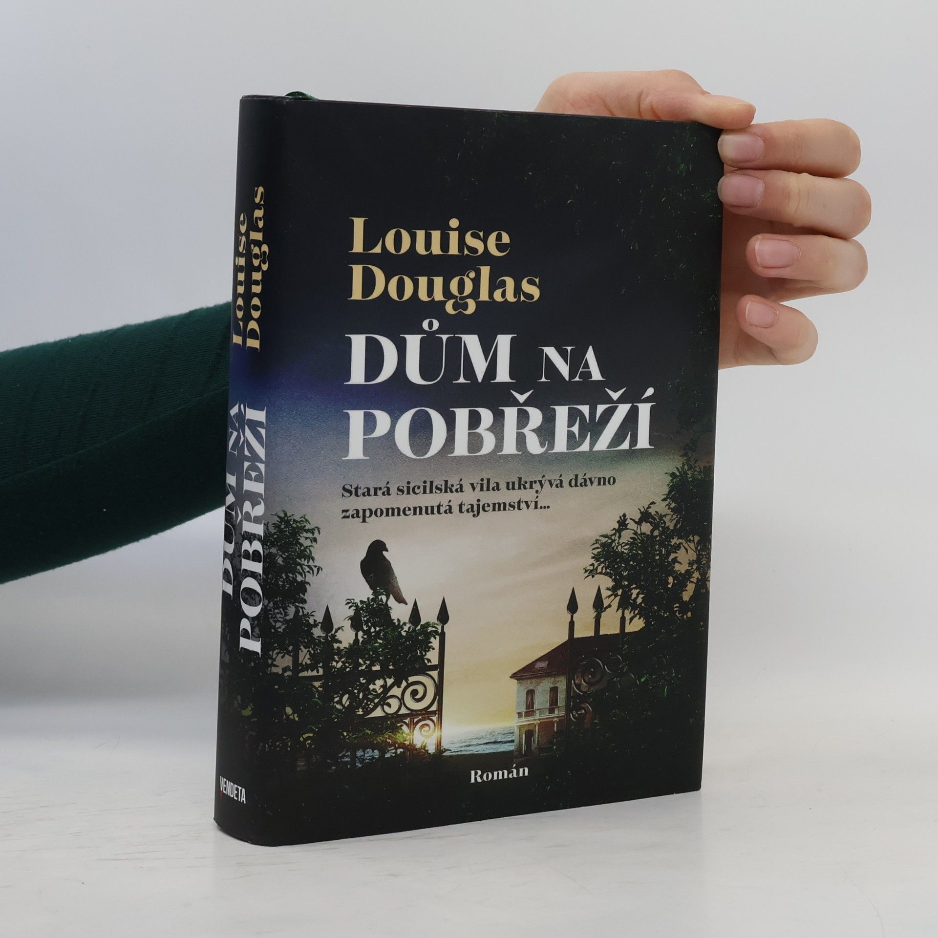 Pavla Koós Dům na pobřeží