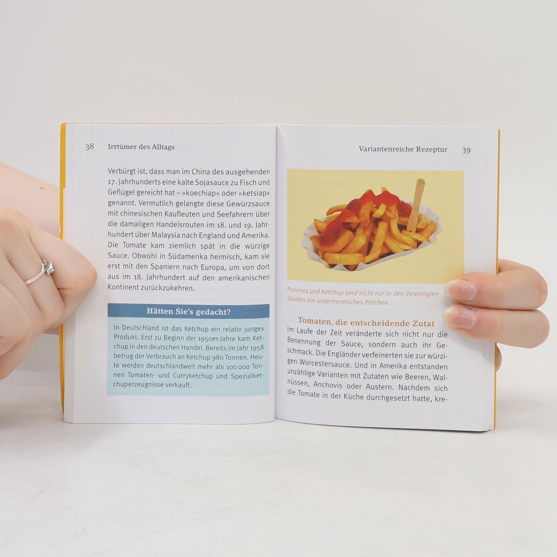 Autorenkollektiv Stimmt’s? Irrtümer der Allgemeinbildung