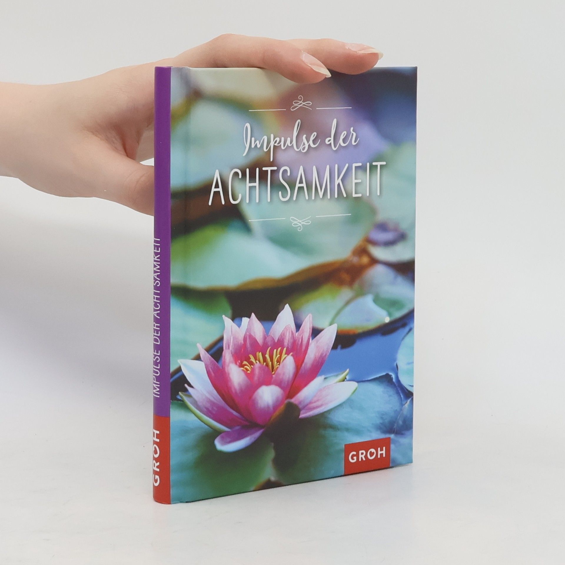 Groh Groh Redaktionsteam Impulse der Achtsamkeit
