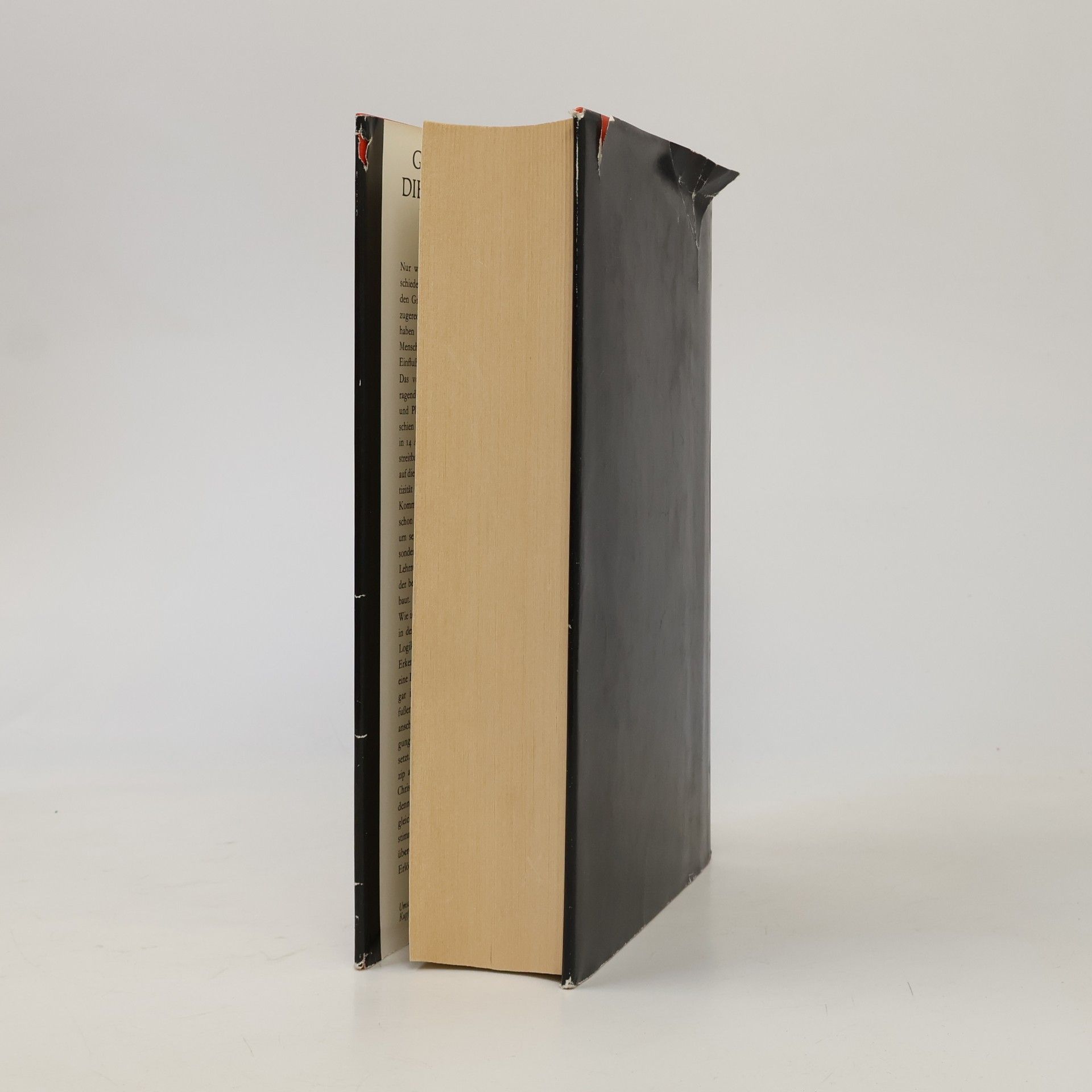 Georg Grimm Die Lehre des Buddho