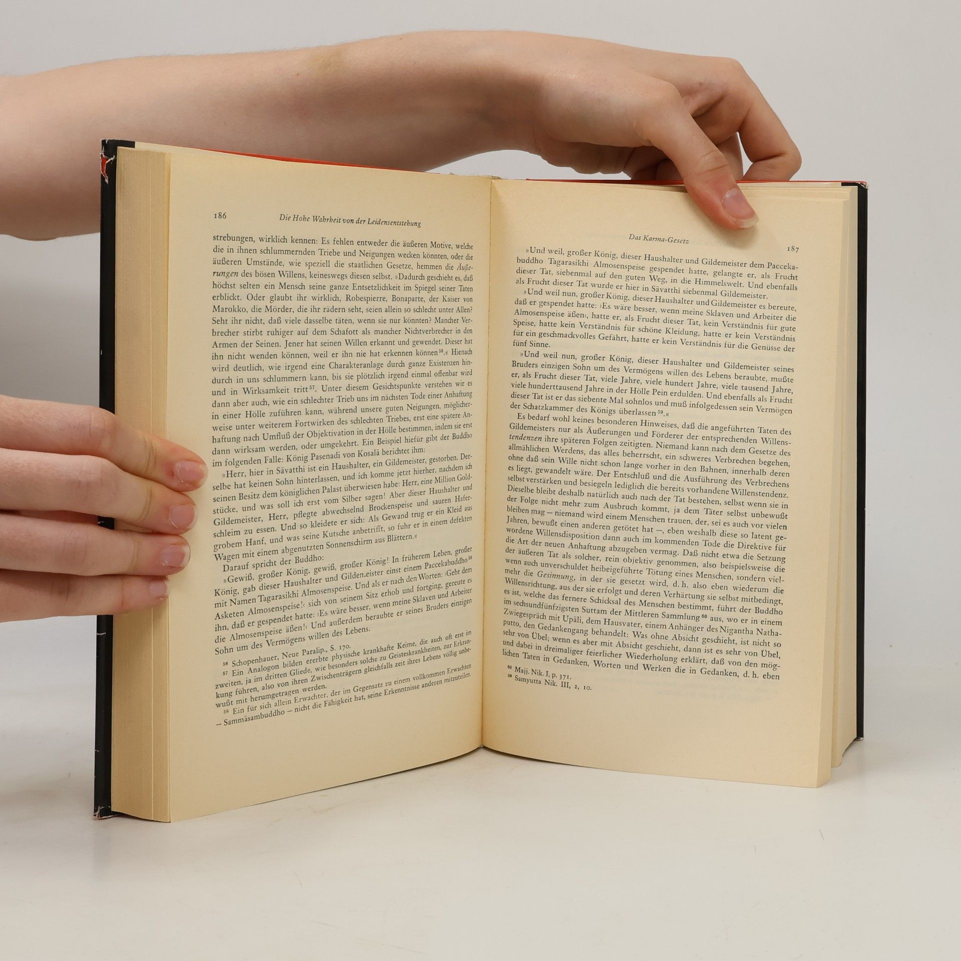 Georg Grimm Die Lehre des Buddho