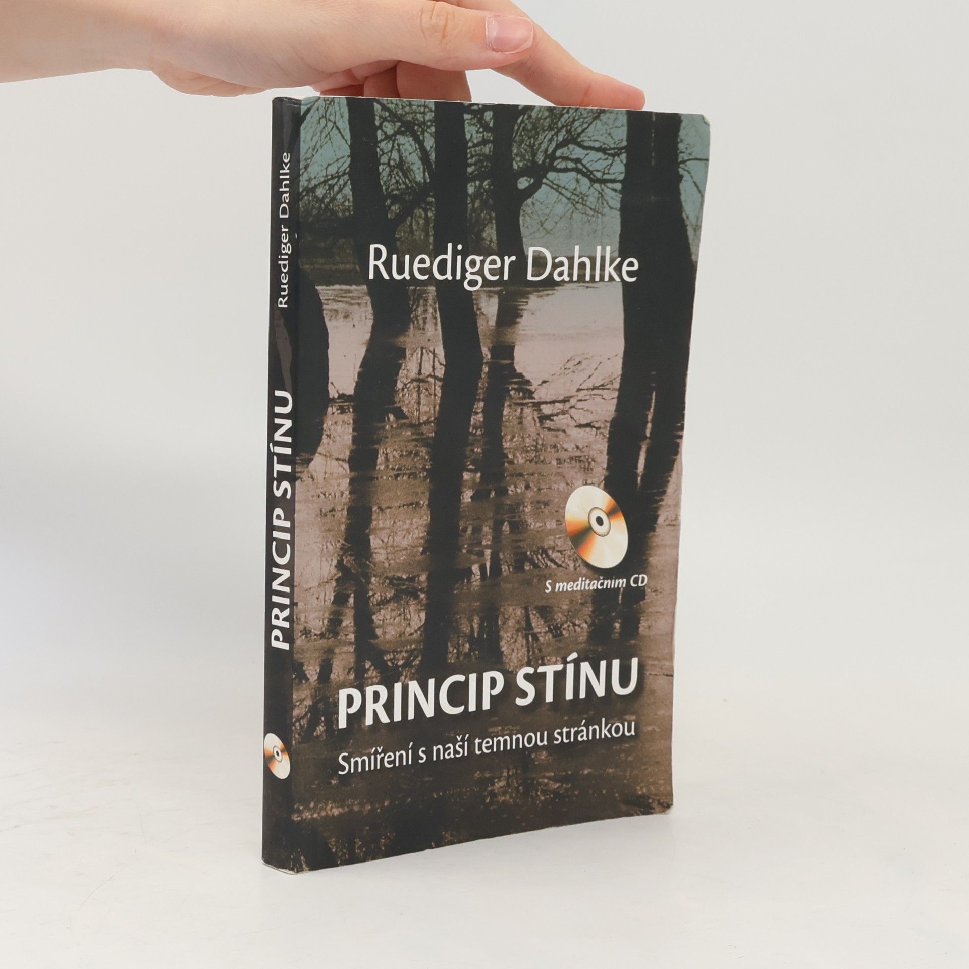 Ruediger Dahlke Princip stínu: Smíření s naší temnou stránkou