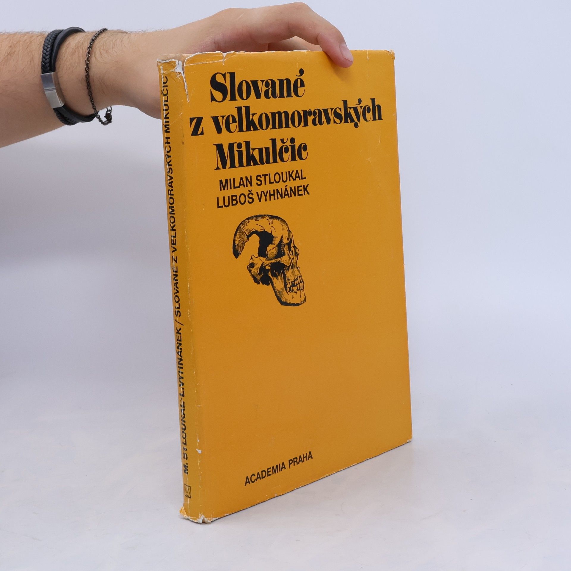 Luboš Vyhnálek Slované z velkomoravských Mikulčic