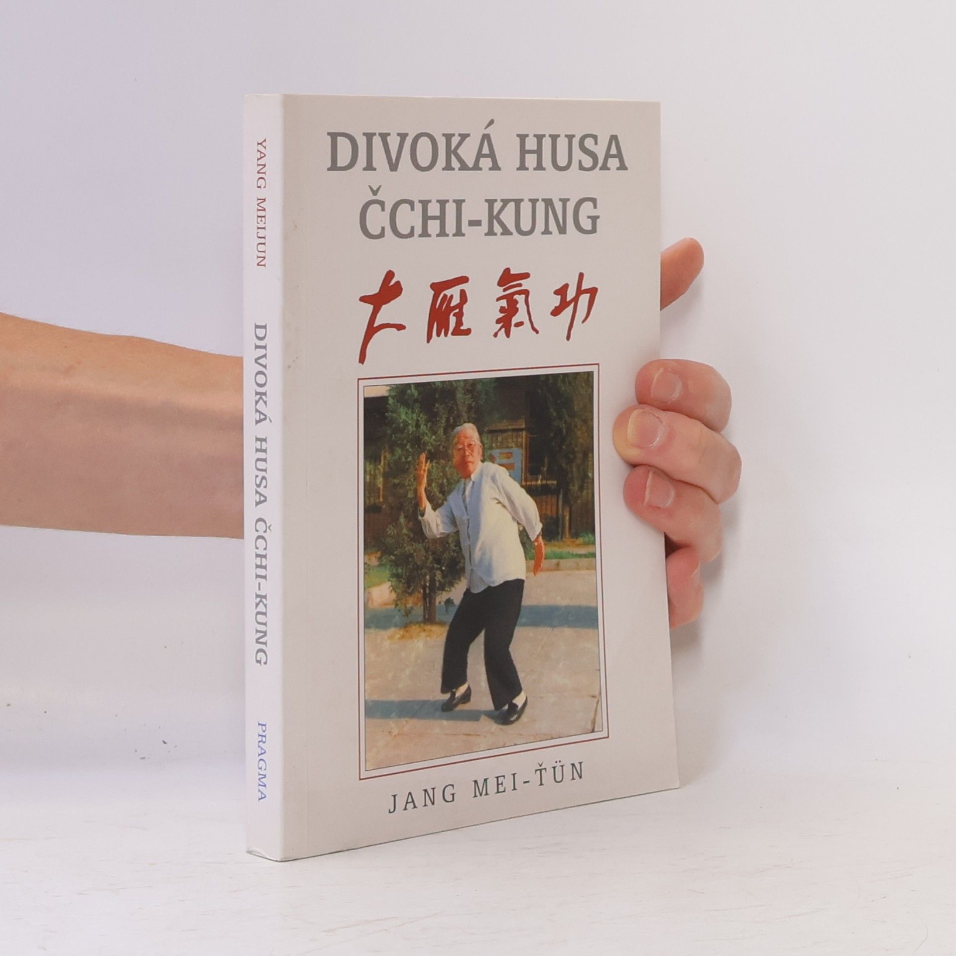 Mei ťün Jang Divoká husa čchi-kung