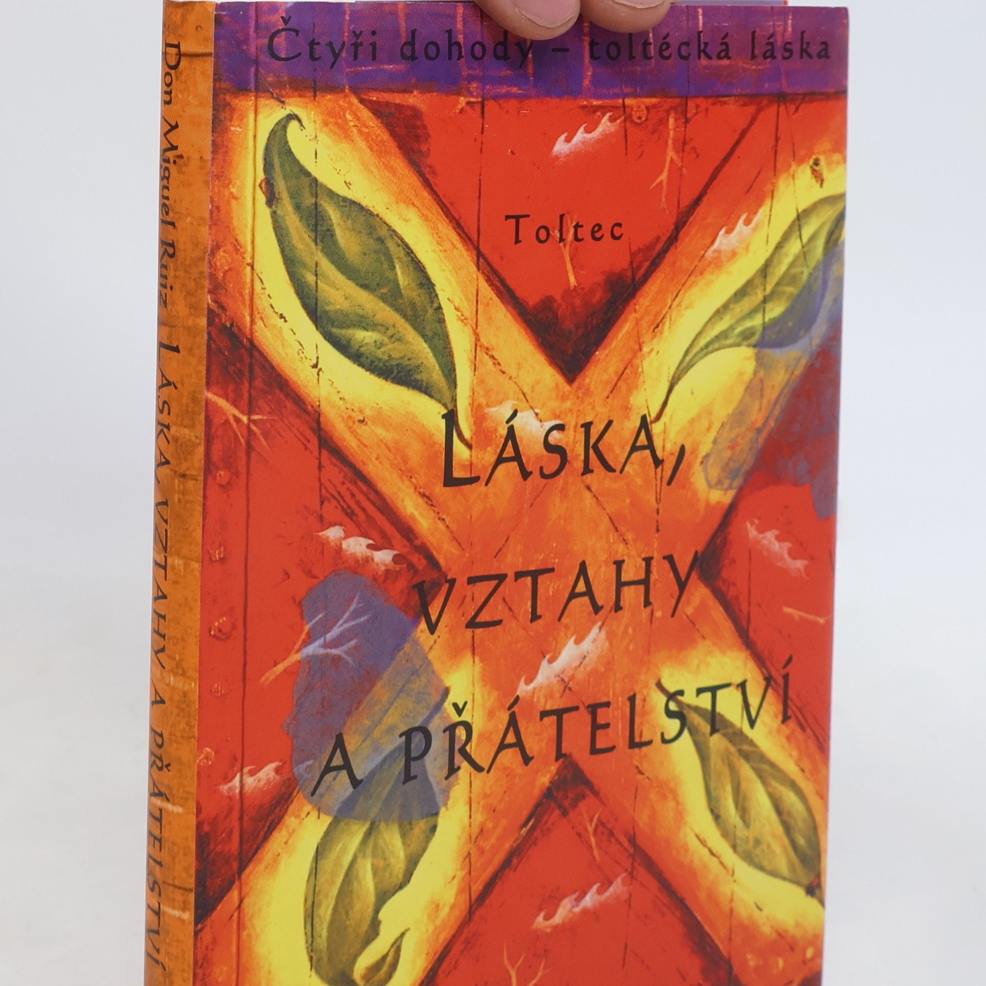 Don Miguel Ruiz Láska, vztahy a přátelství