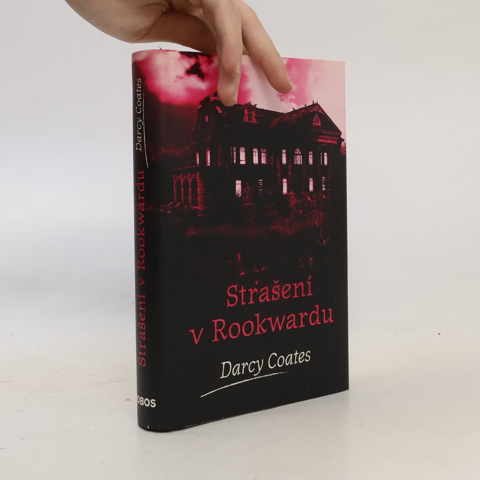 Darcy Coates Strašení v Rookwardu