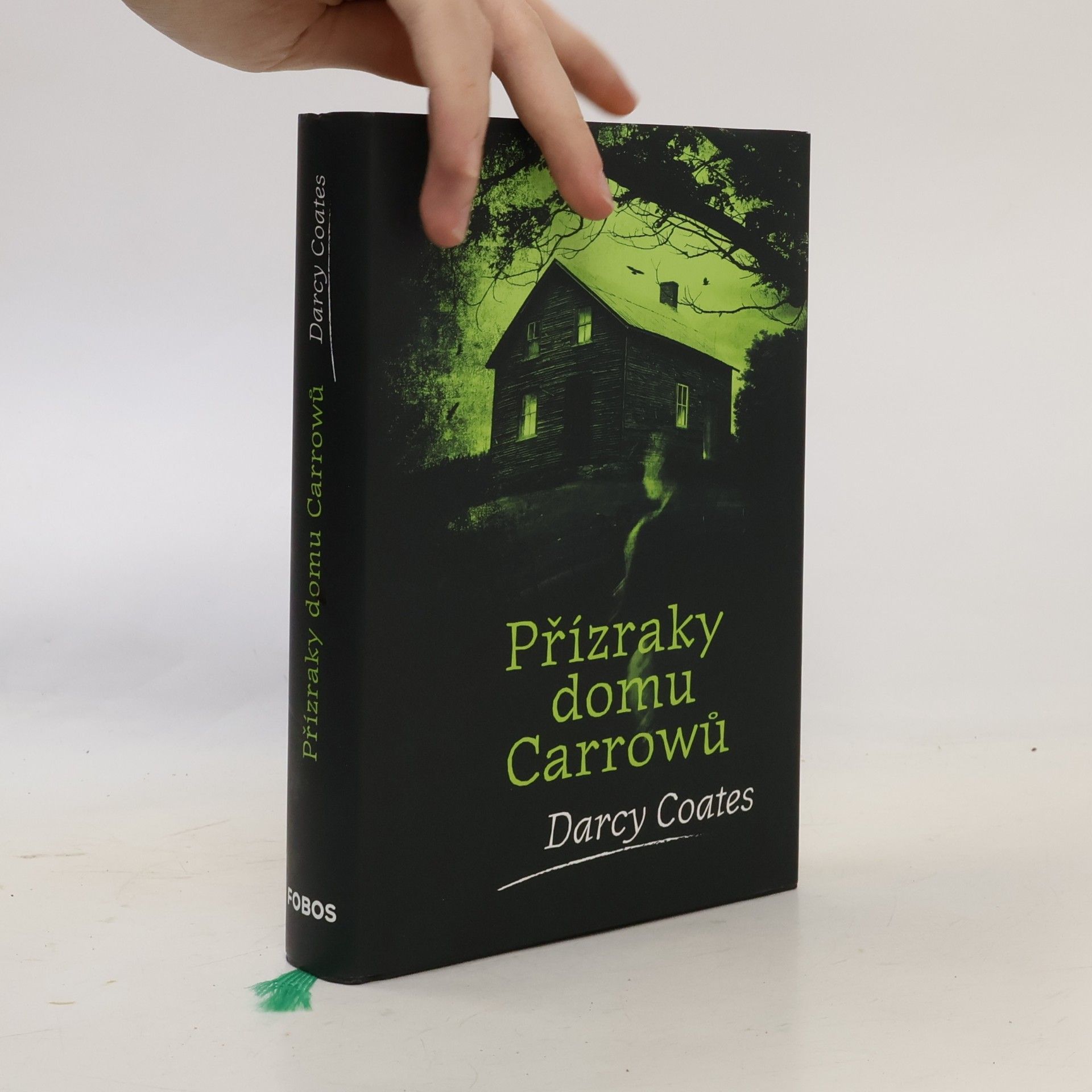 Darcy Coates Přízraky domu Carrowů