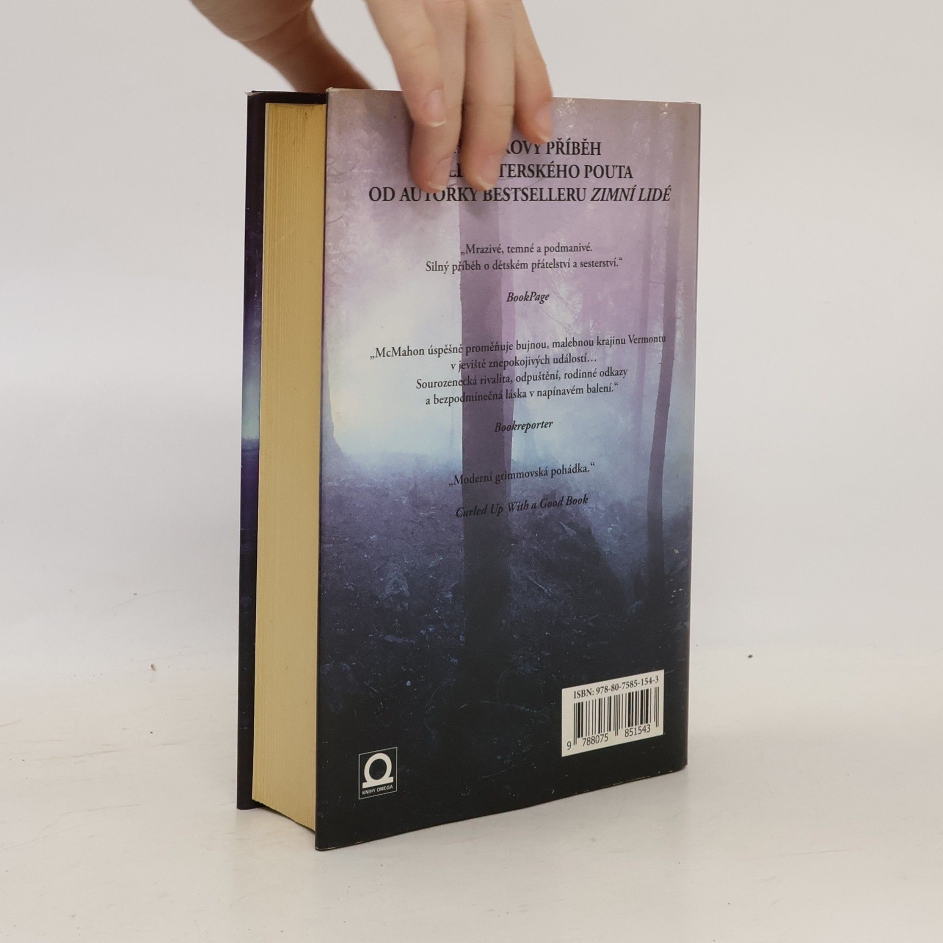 Jennifer McMahon Vermontské psycho
