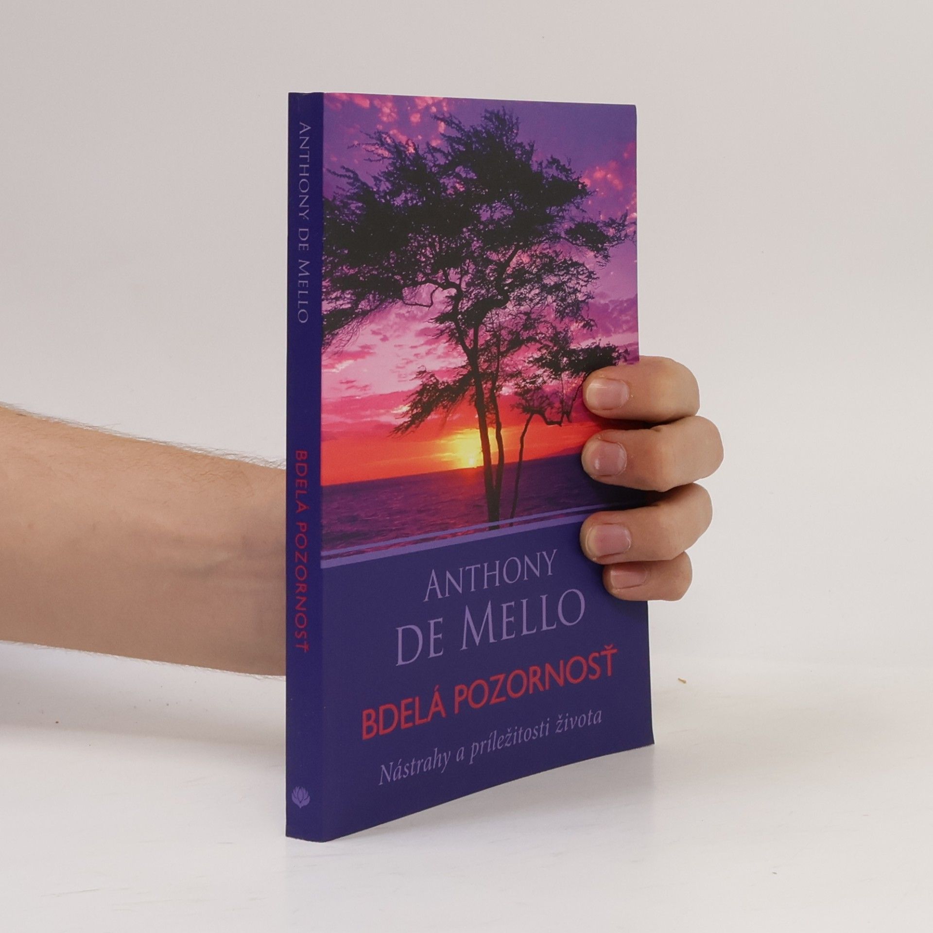 Anthony De Mello Bdelá pozornosť