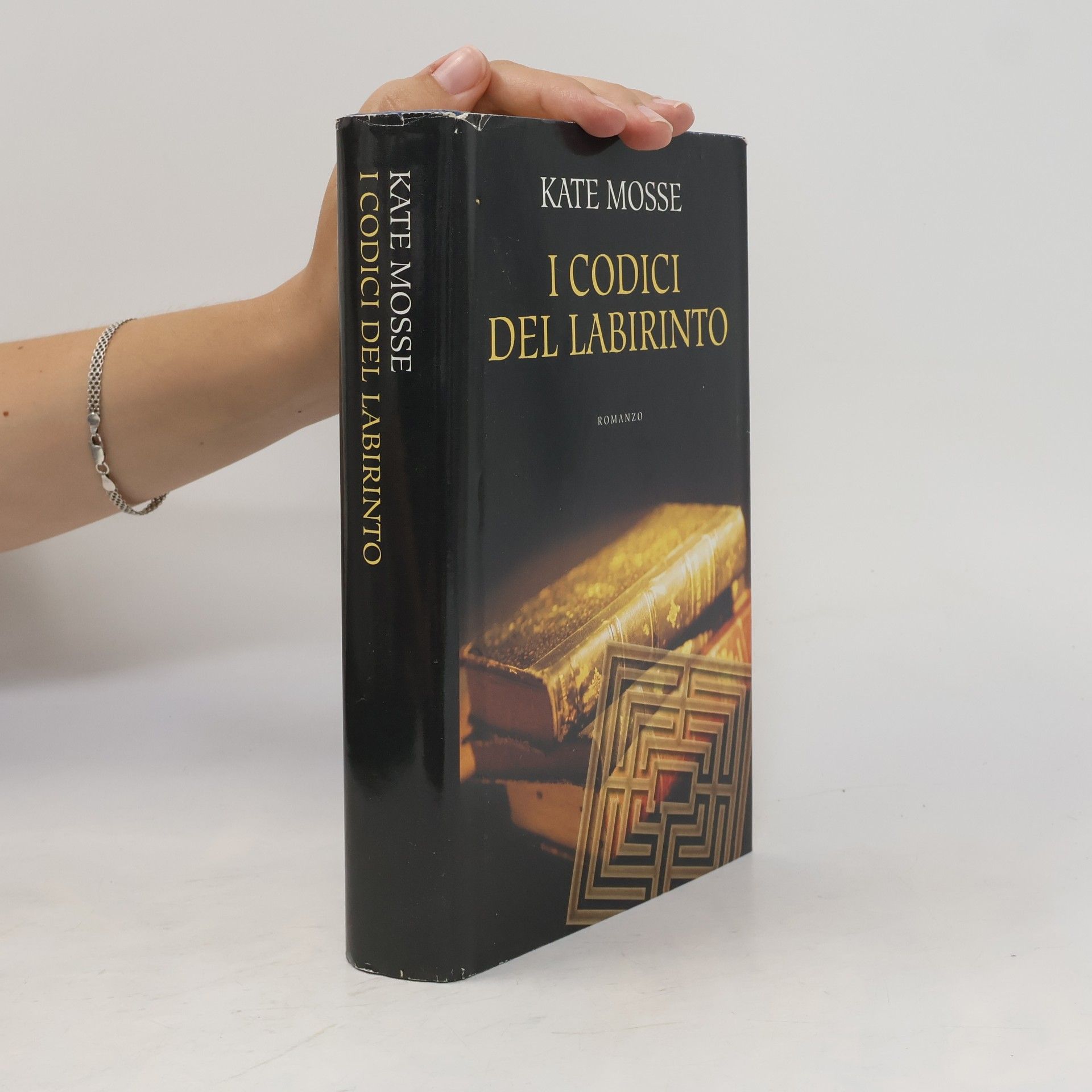 Kate Mosse I codici del labirinto