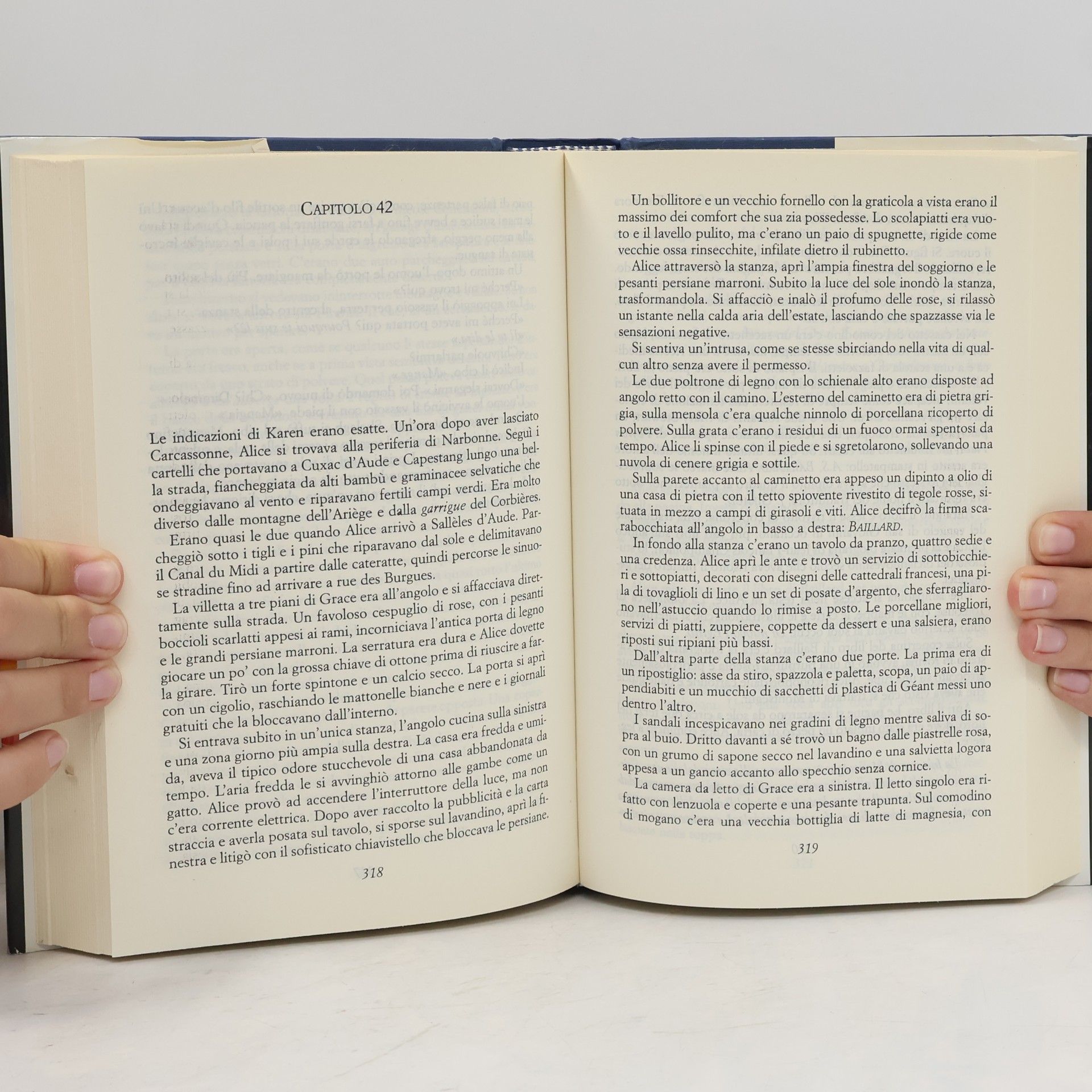 Kate Mosse I codici del labirinto