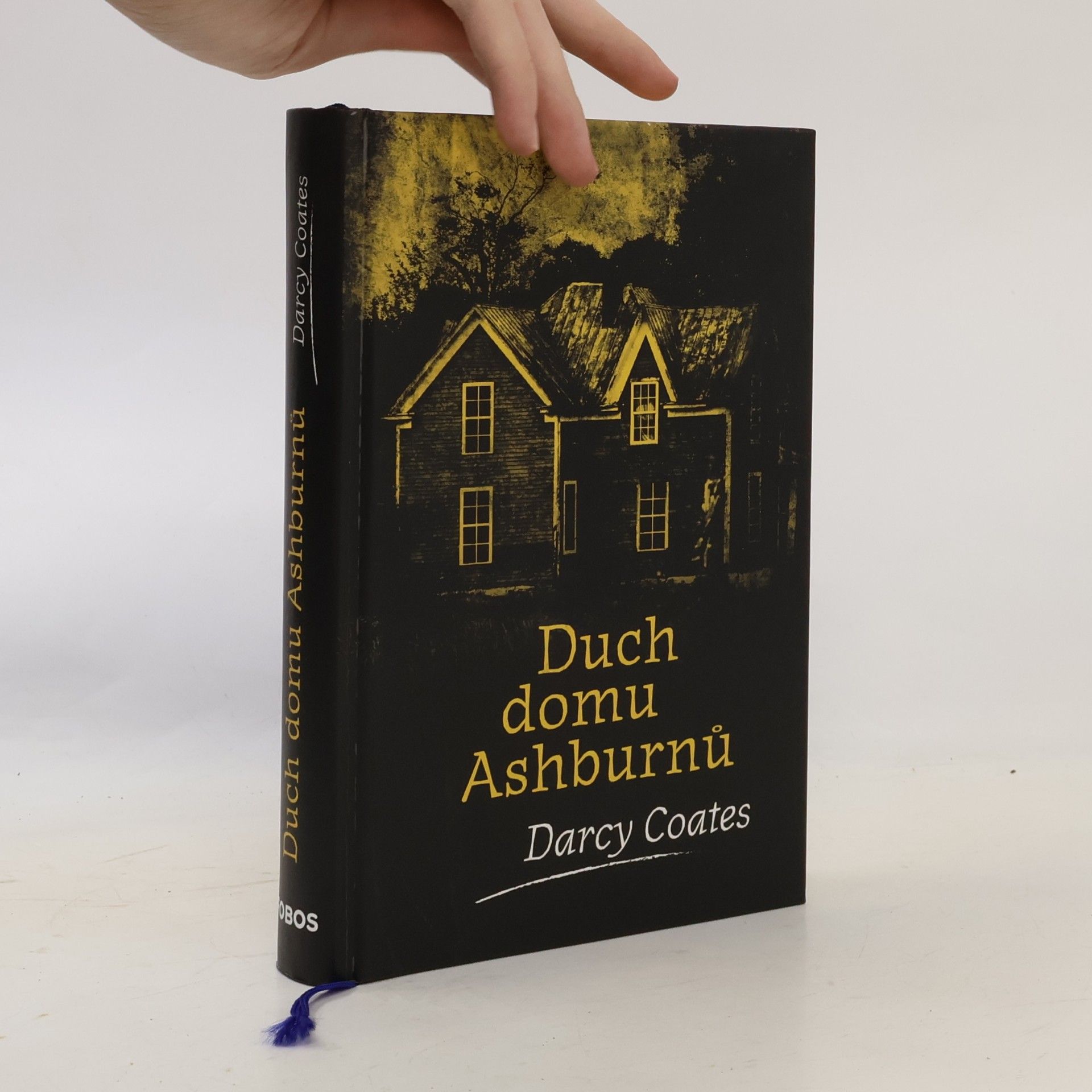 Darcy Coates Duch domu Ashburnů