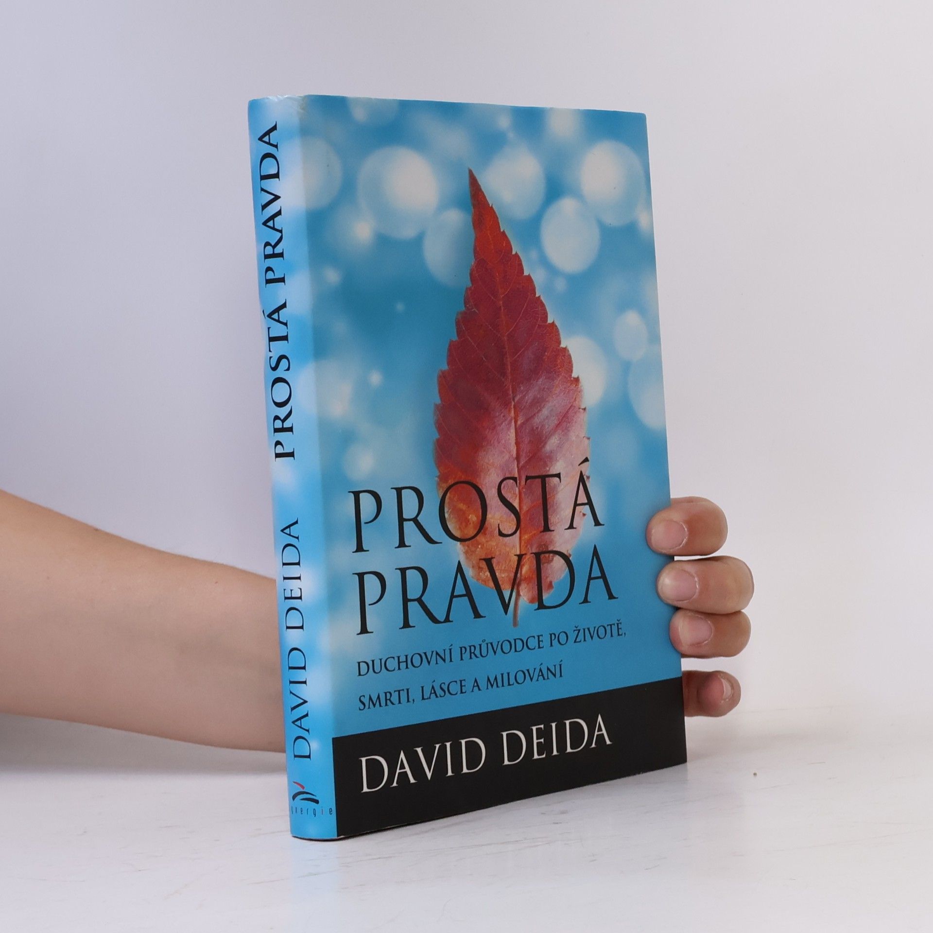 David Deida Prostá pravda