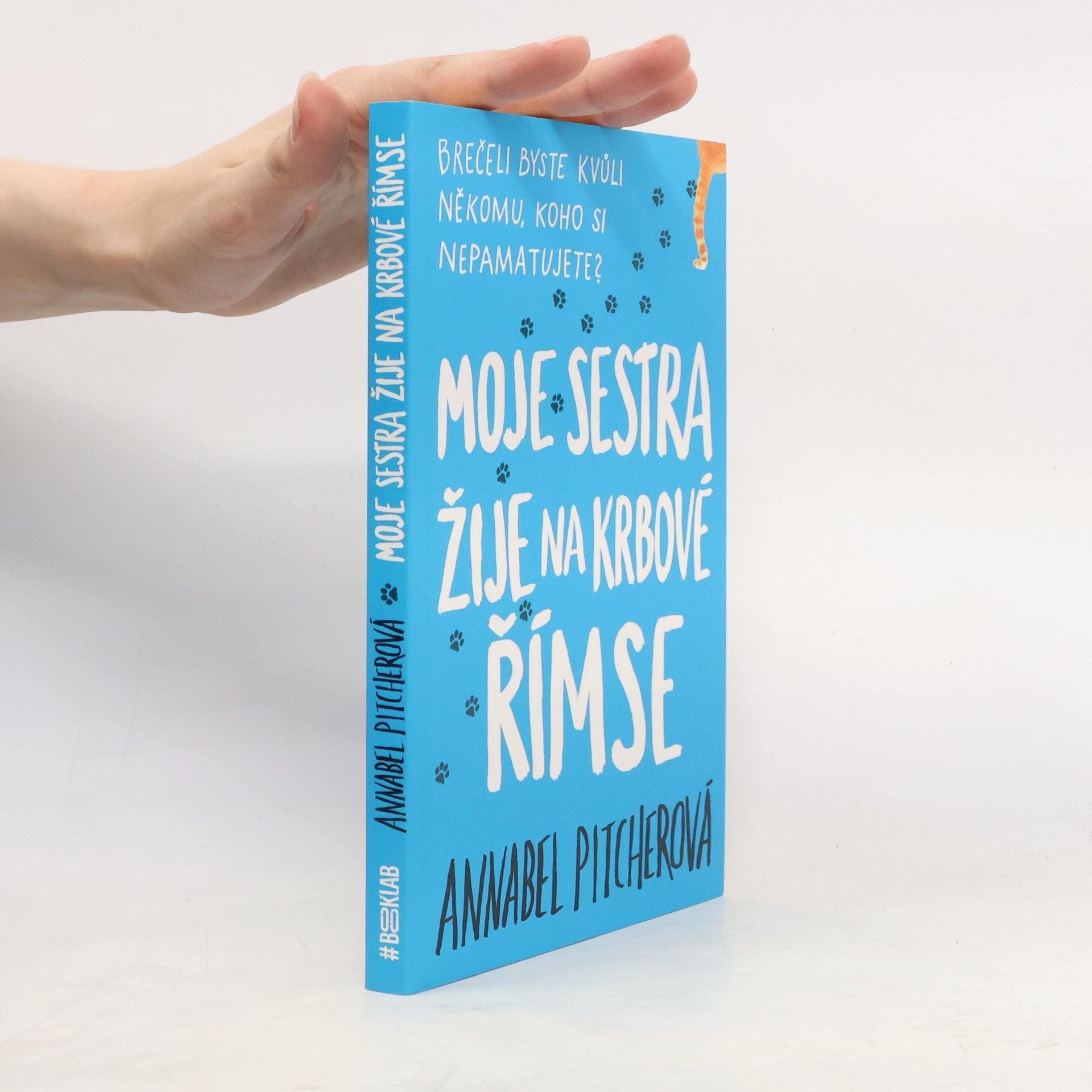 Annabel Pitcher Moje sestra žije na krbové římse