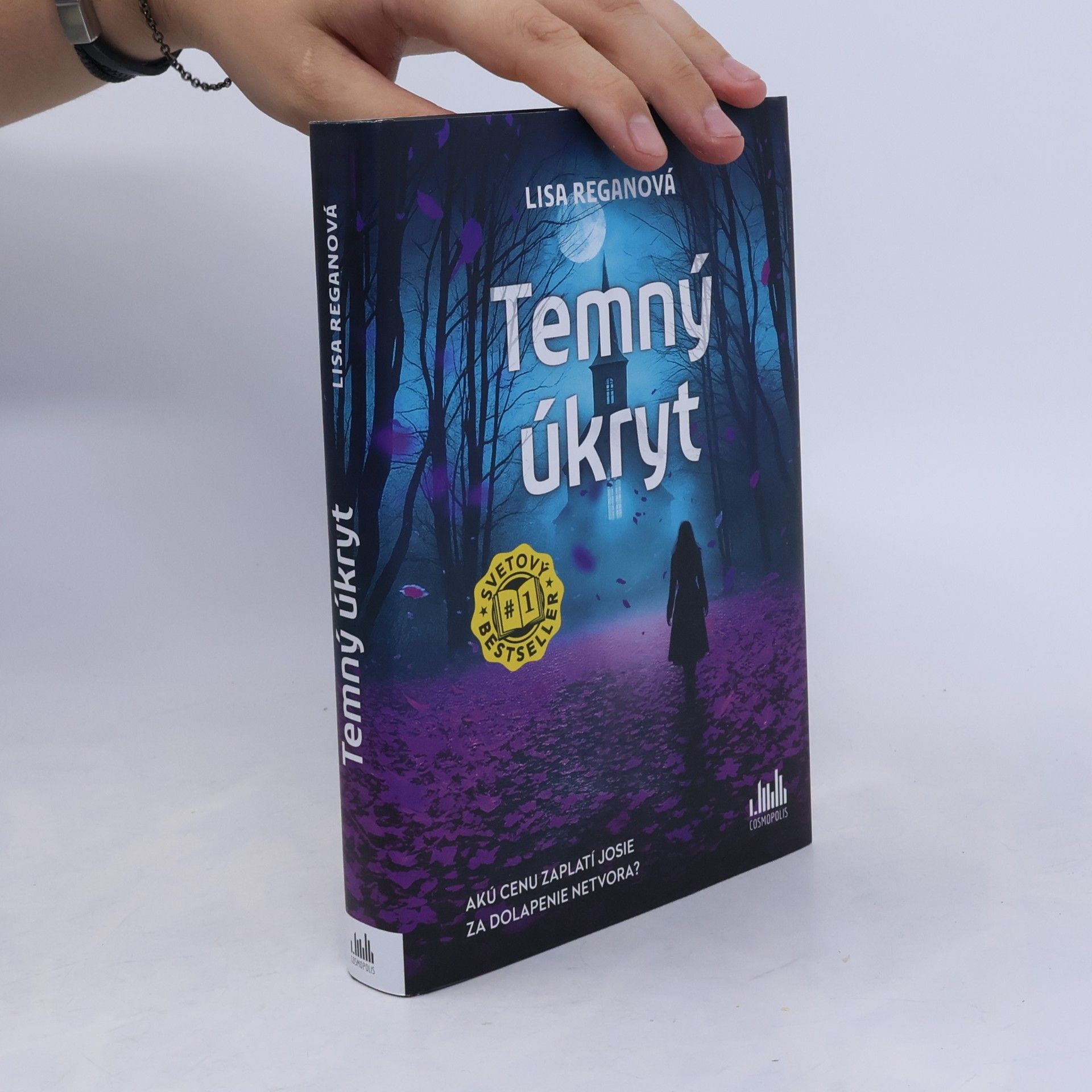 Lisa Regan Temný úkryt