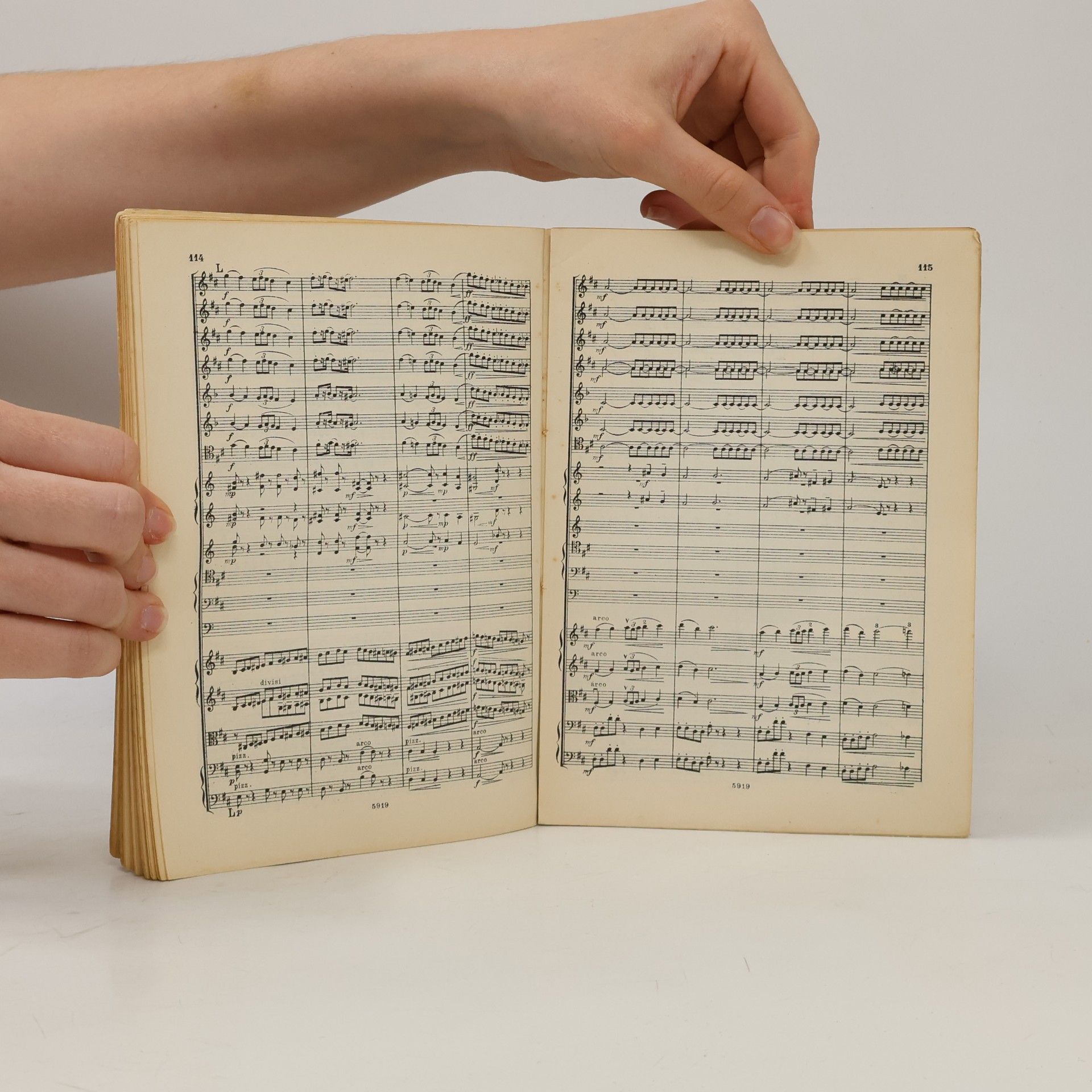 Petr Iljič Čajkovskij Symphonie pathétique