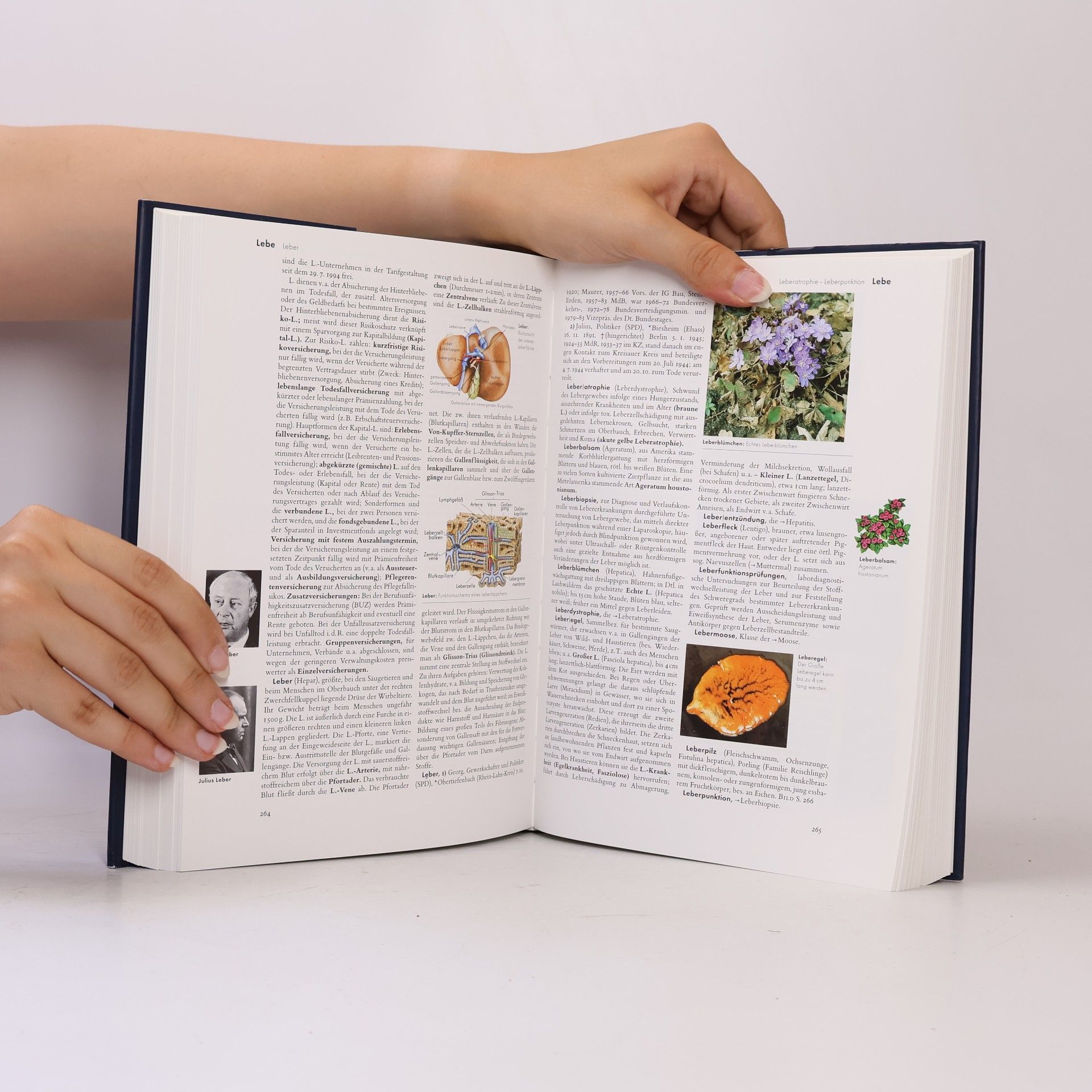Autorenkollektiv Der Brockhaus 8