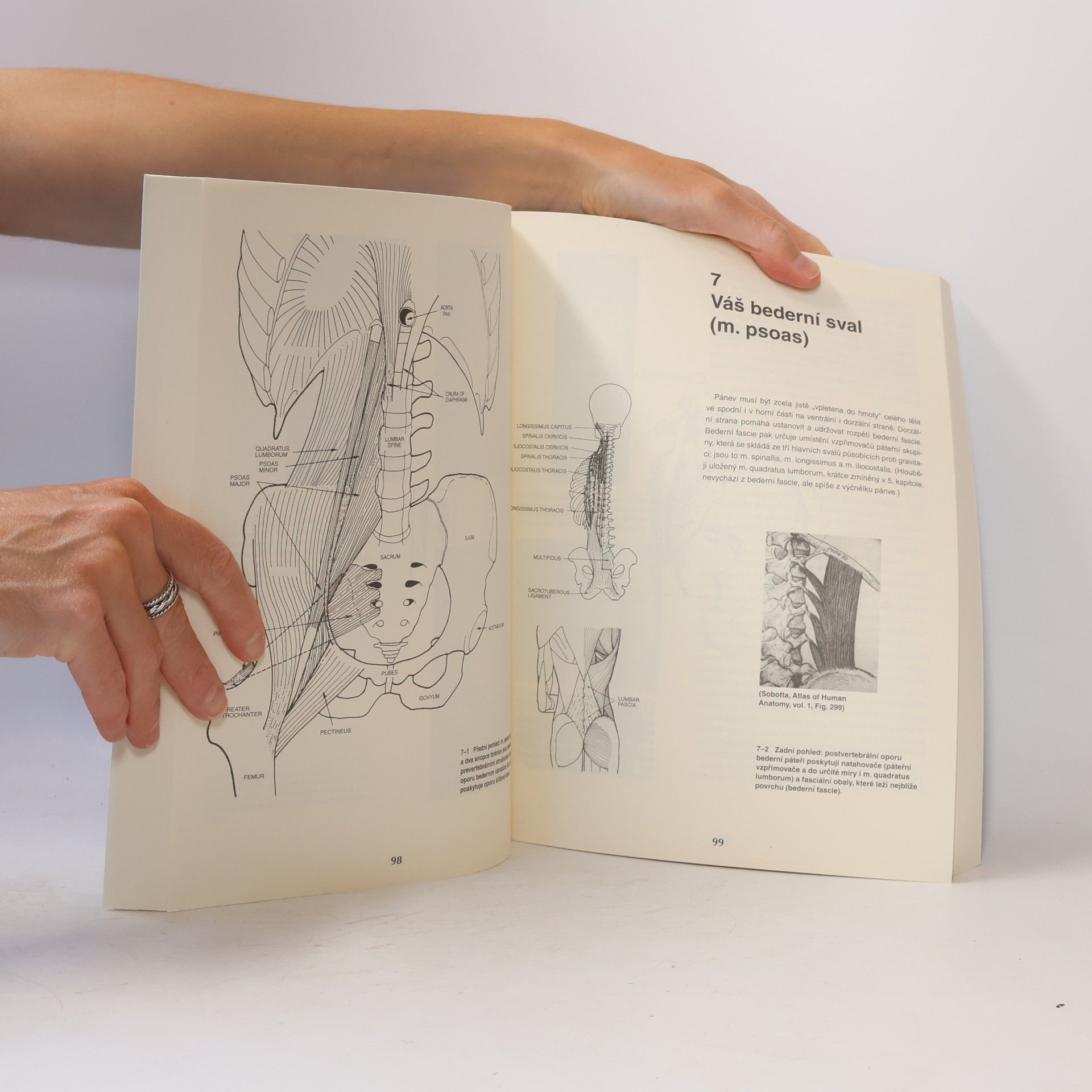 Ida P. Rolf Rolfing