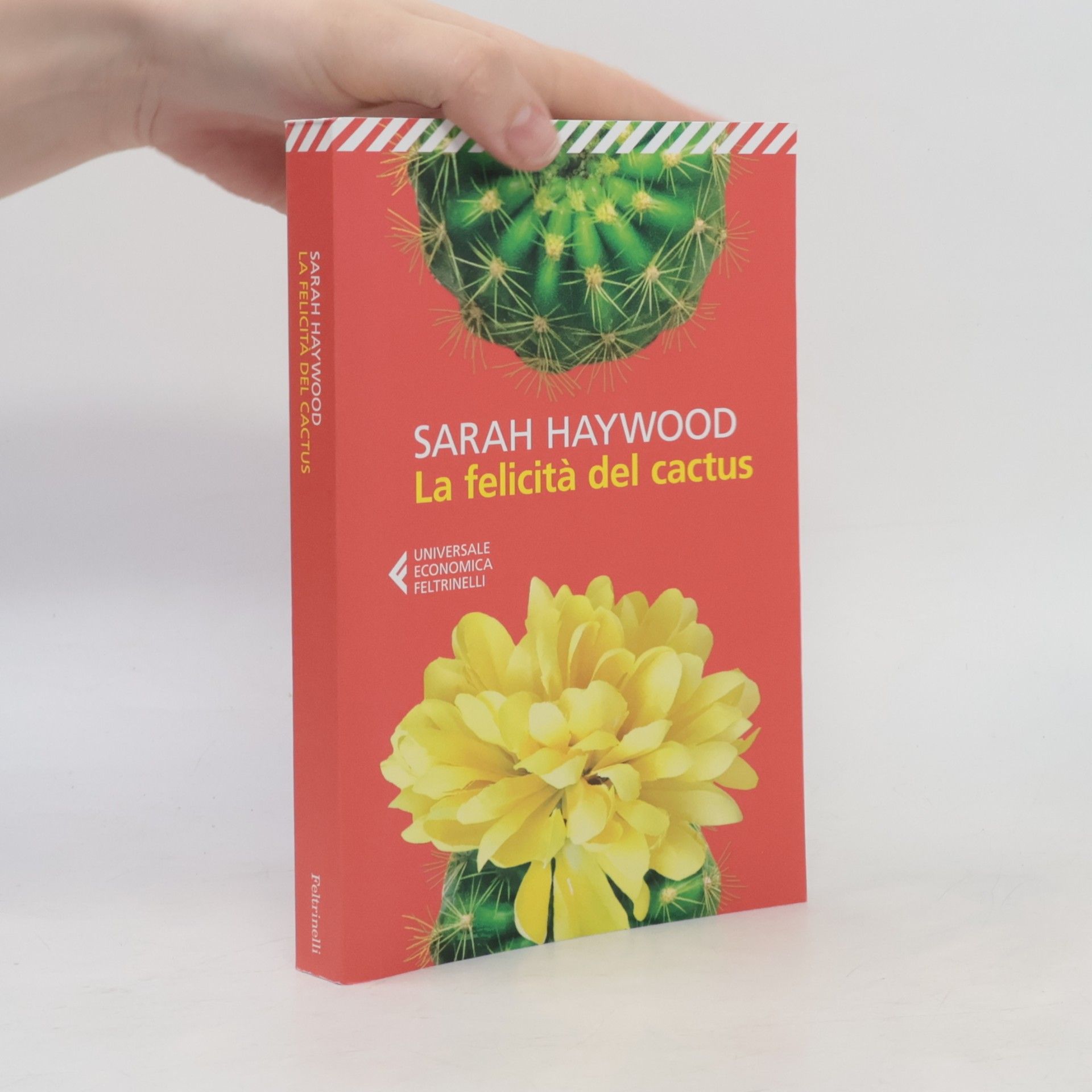 Sarah Haywood La felicità del cactus