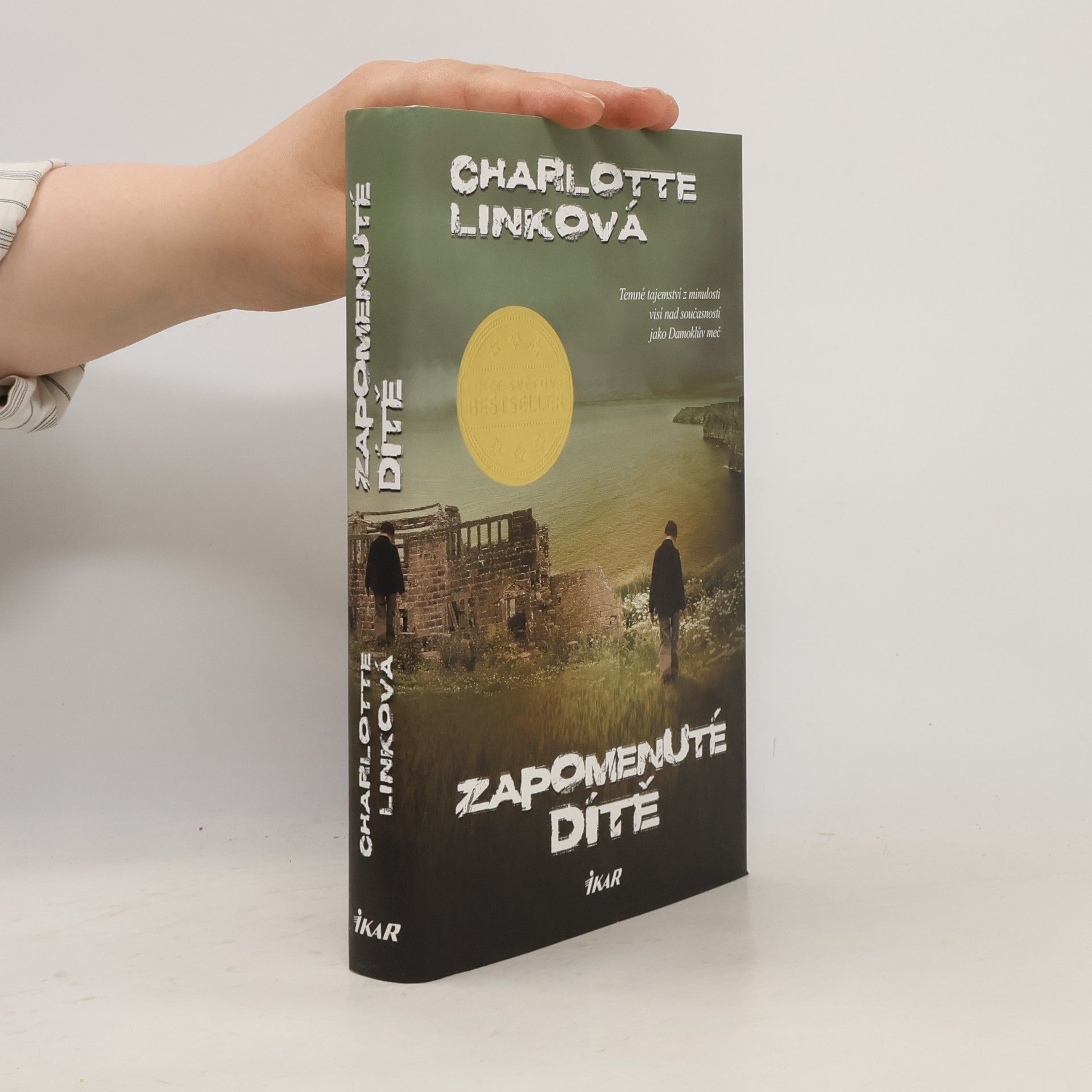 Charlotte Link Zapomenuté dítě
