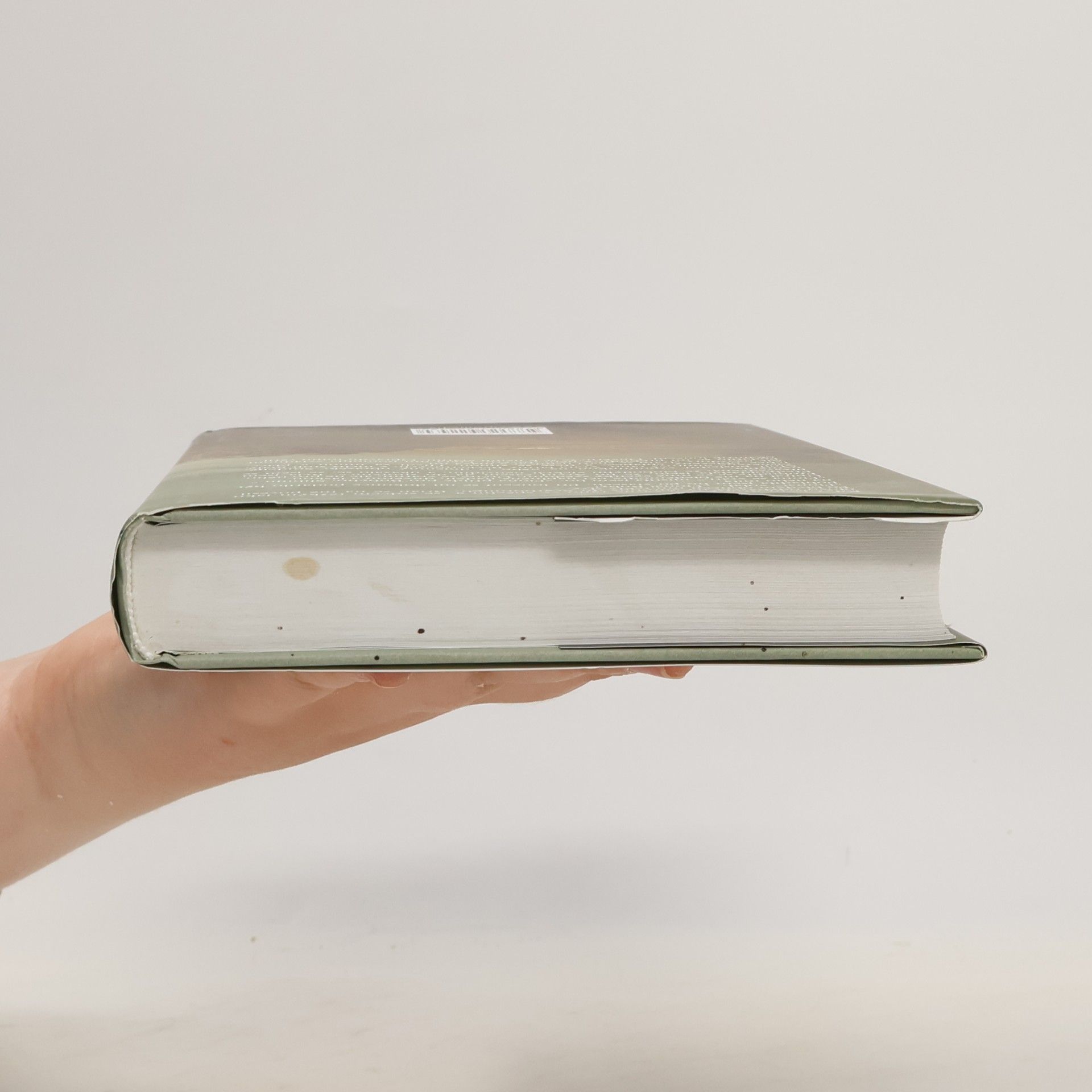 Charlotte Link Zapomenuté dítě