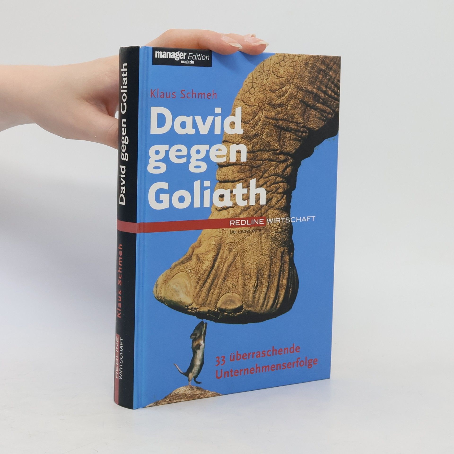 Klaus Schmeh David gegen Goliath