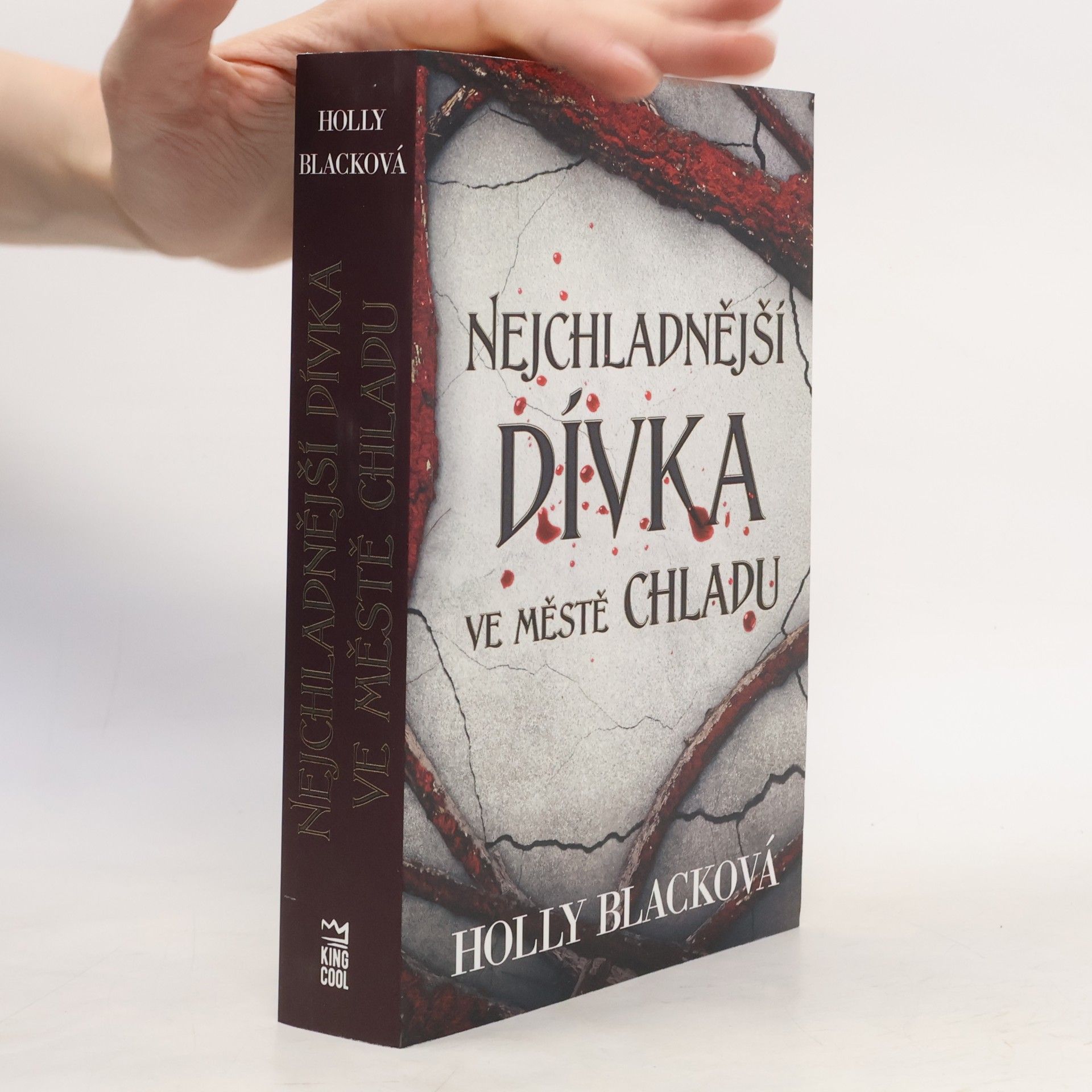 Holly Black Nejchladnější dívka ve městě chladu