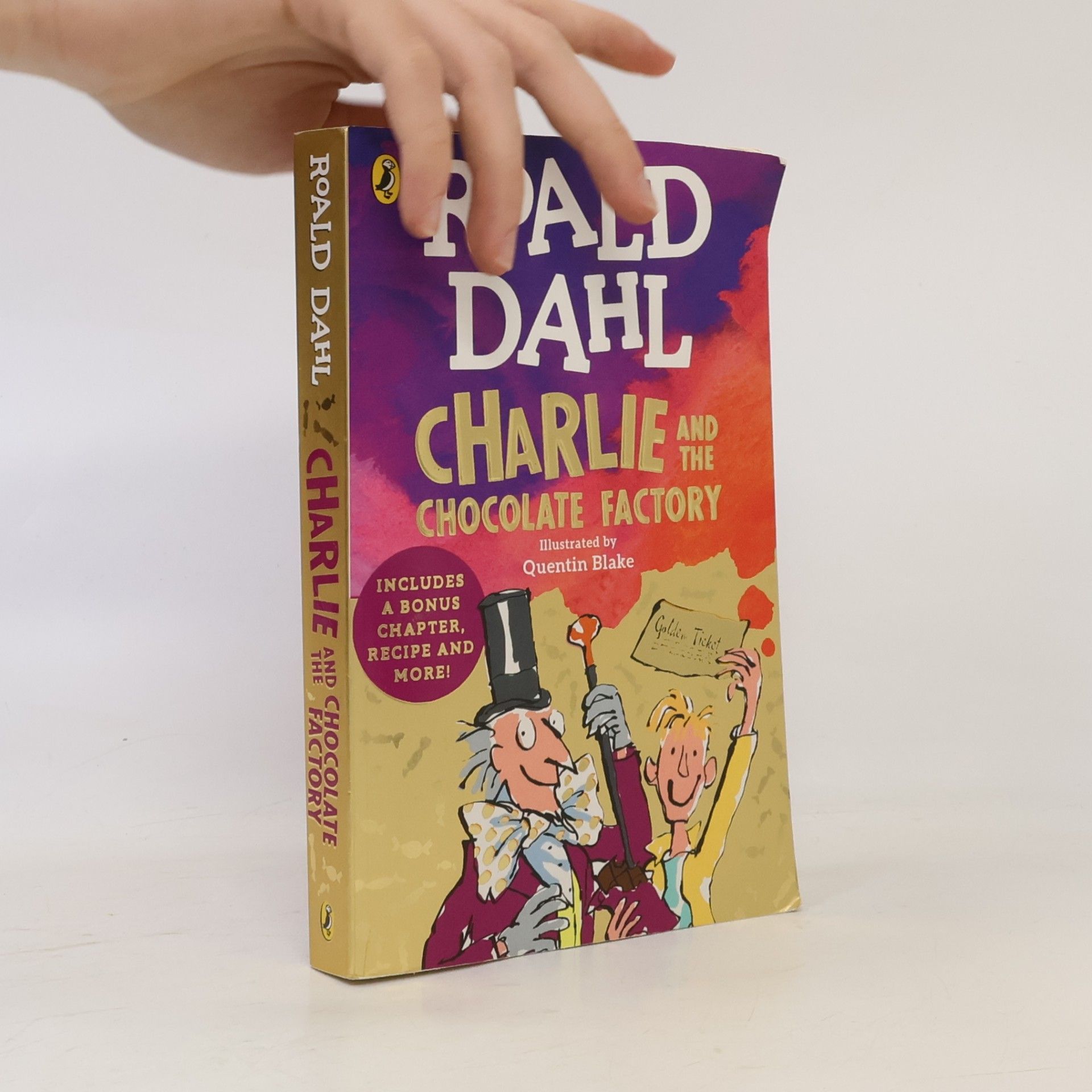 Roald Dahl Charlie and the Chocolate Factory