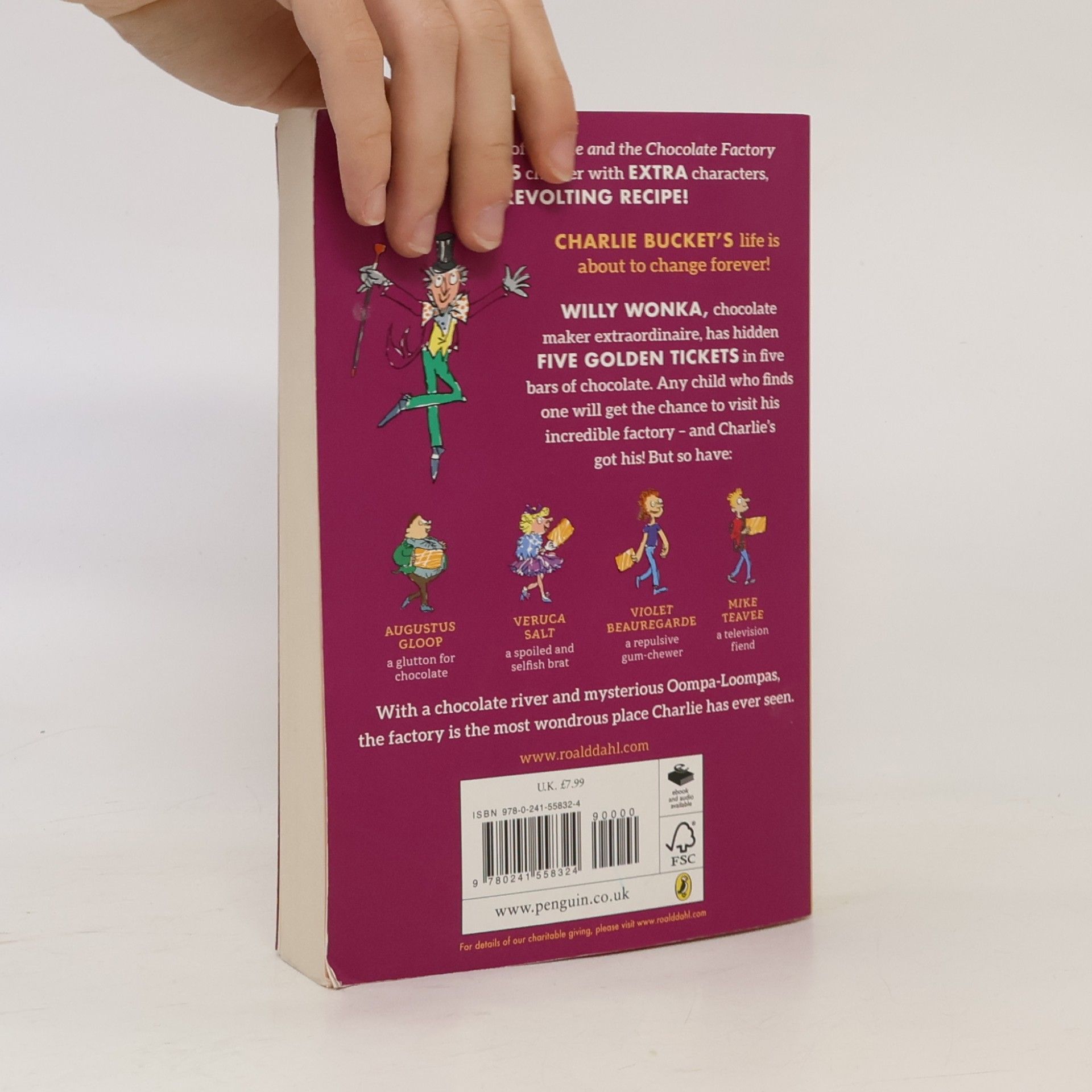 Roald Dahl Charlie and the Chocolate Factory