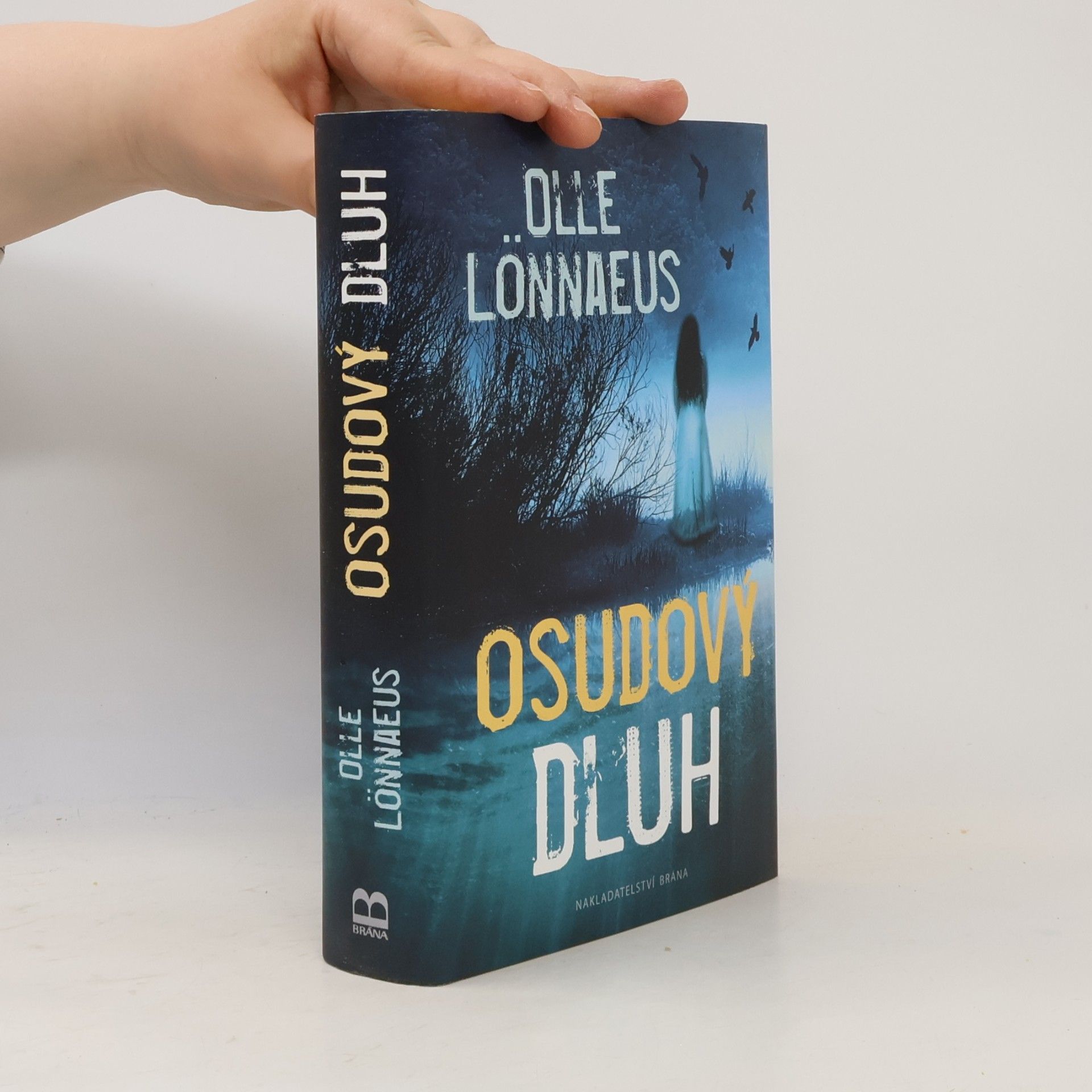 Petra Hesová Osudový dluh