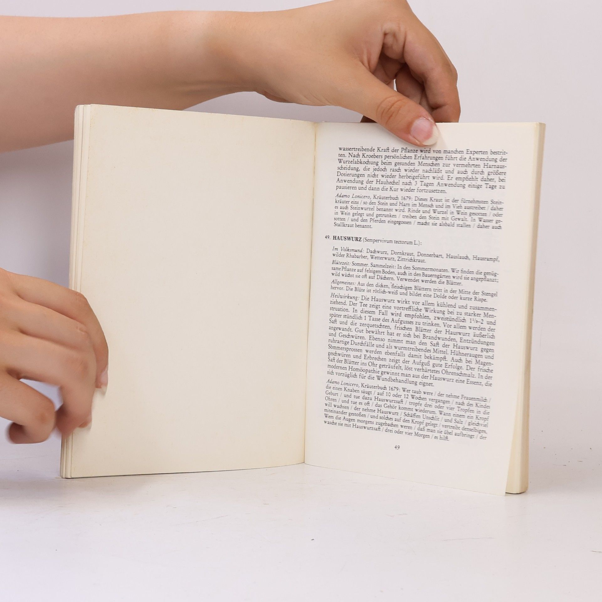 Autorenkollektiv Kölbls Kräuterfibel