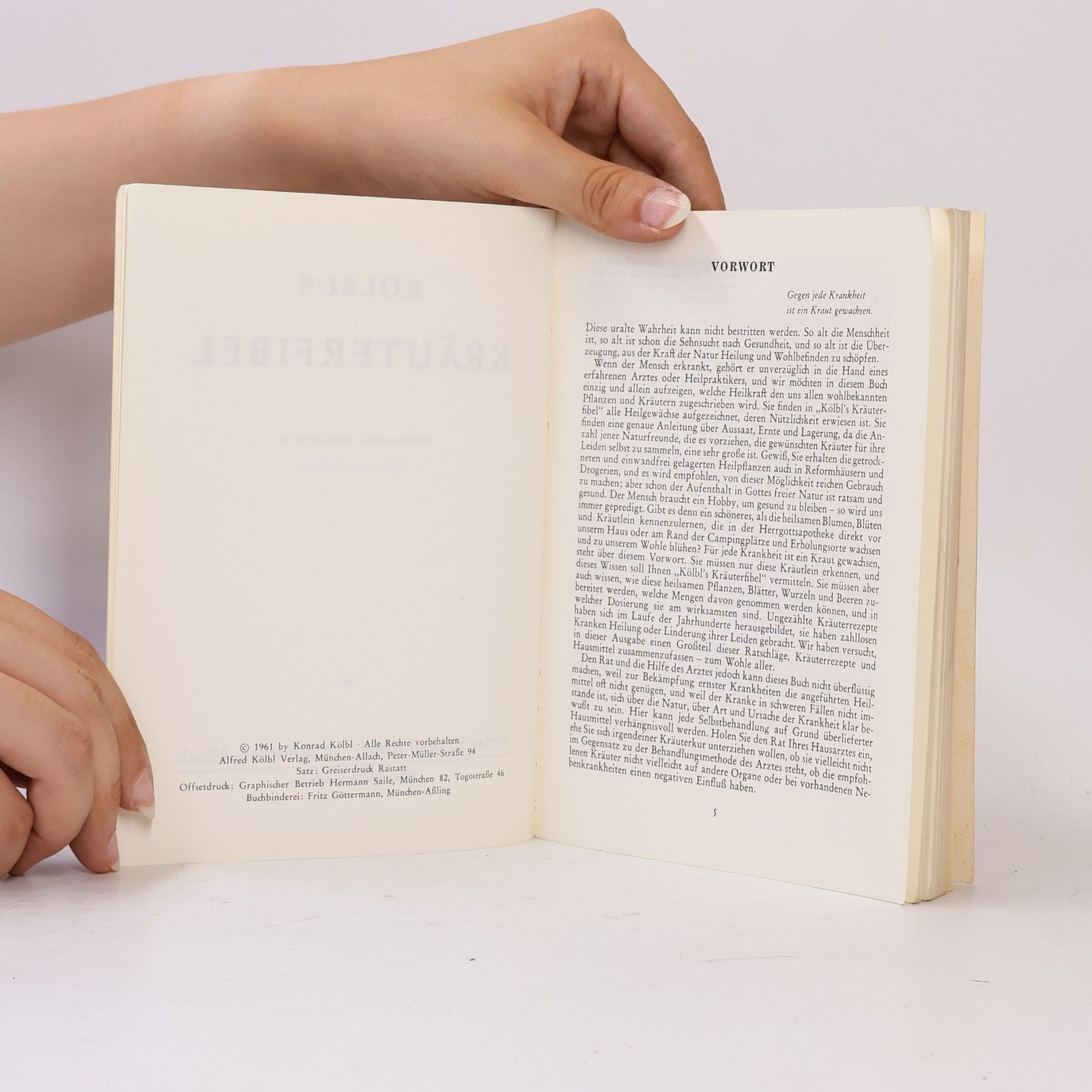 Autorenkollektiv Kölbls Kräuterfibel