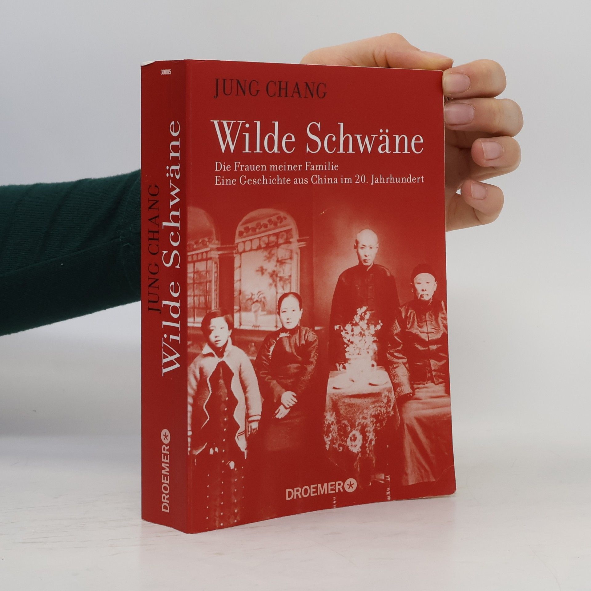 Jung Chang Wilde Schwäne
