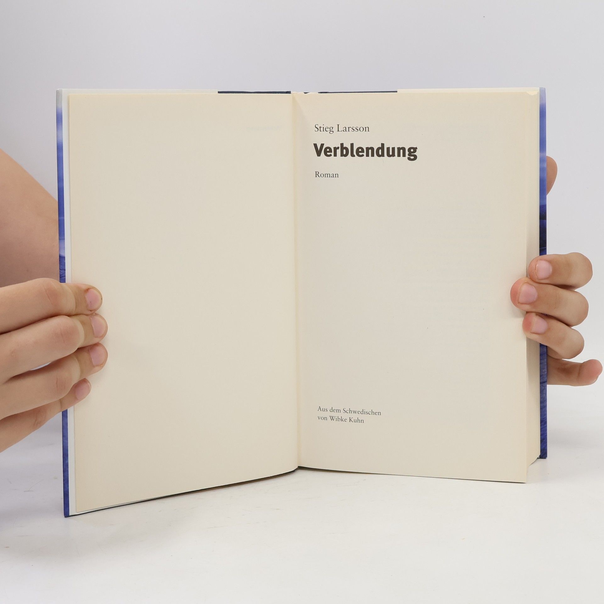 Stieg Larsson Verblendung