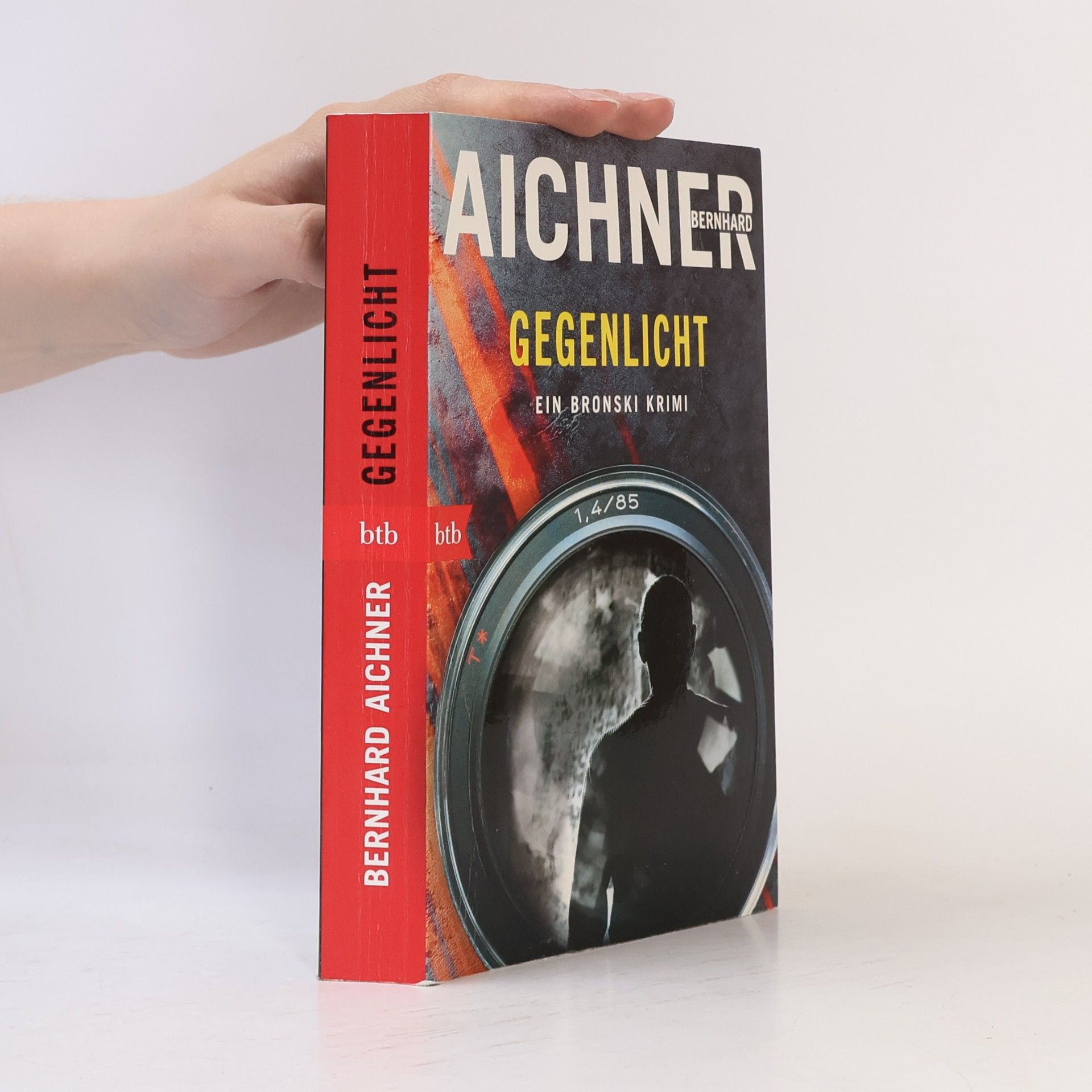 Bernhard Aichner Gegenlicht