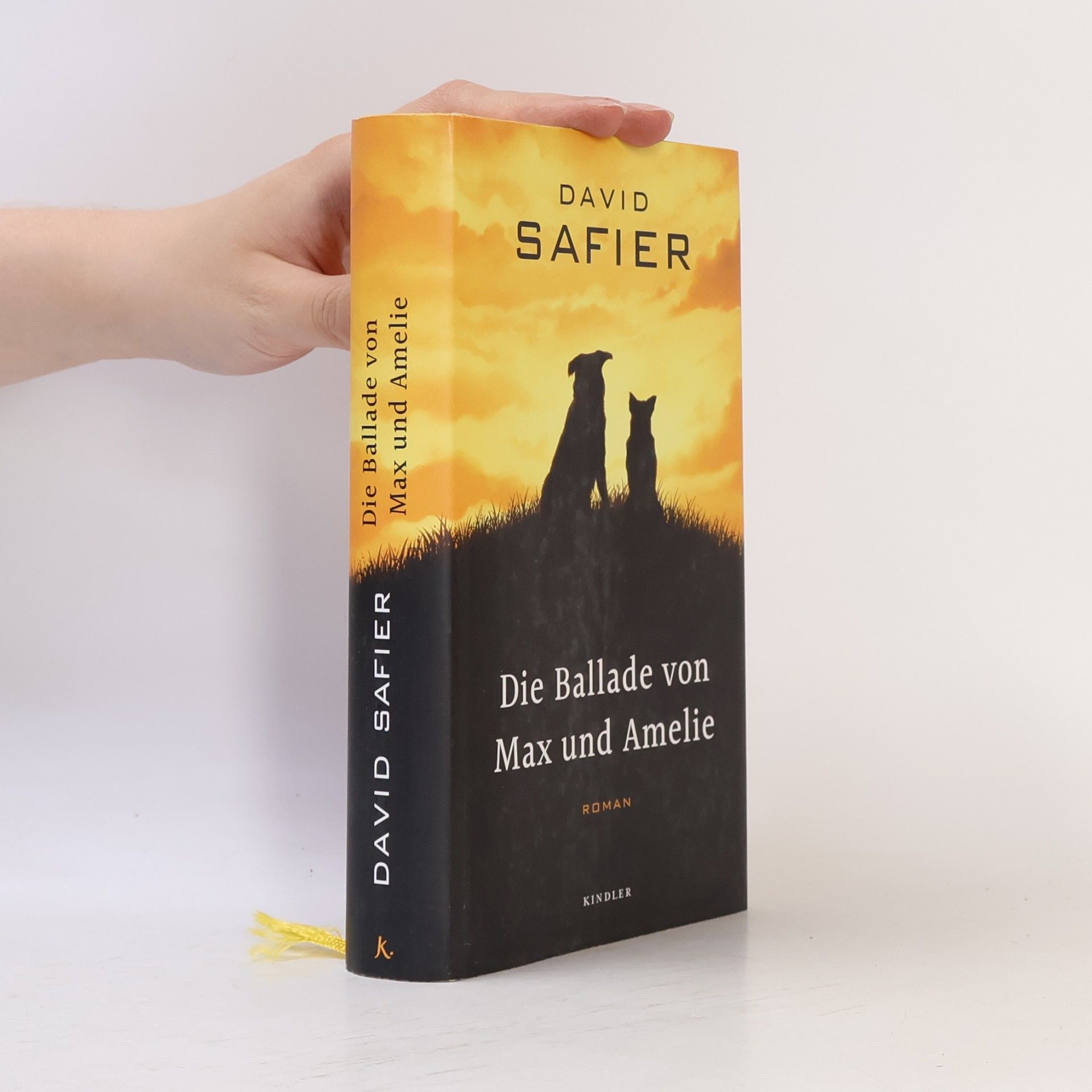 David Safier Die Ballade von Max und Amelie