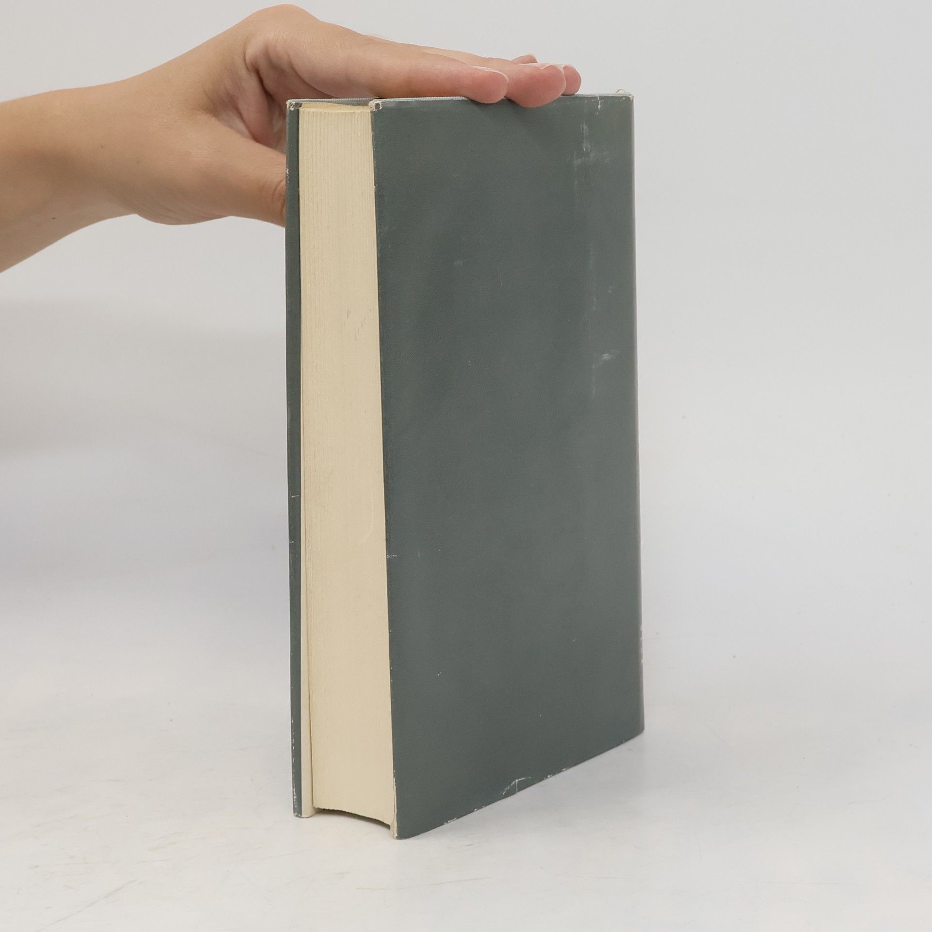 Georges Bernanos Tagebuch eines Landpfarrers