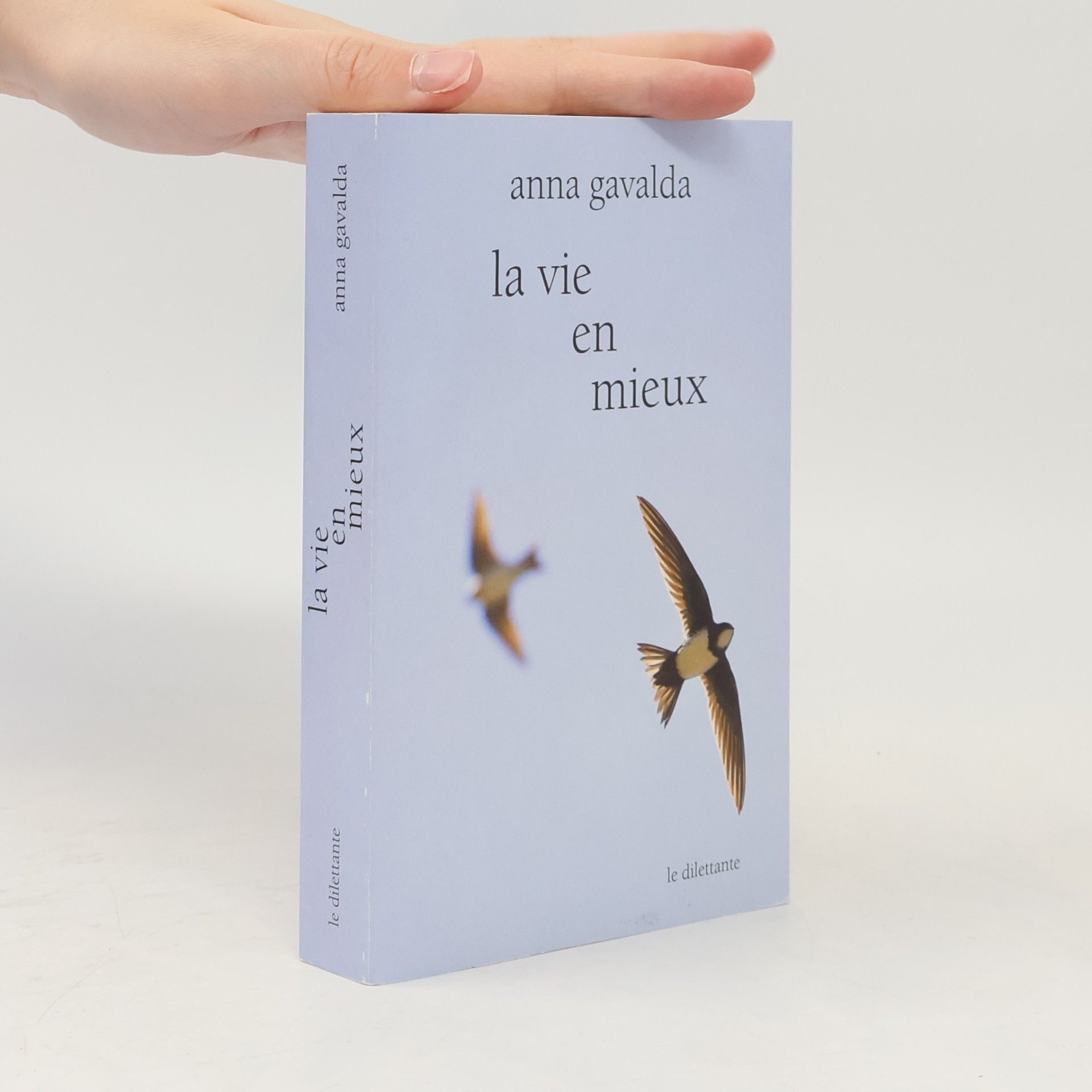 Anna Gavalda La vie en mieux