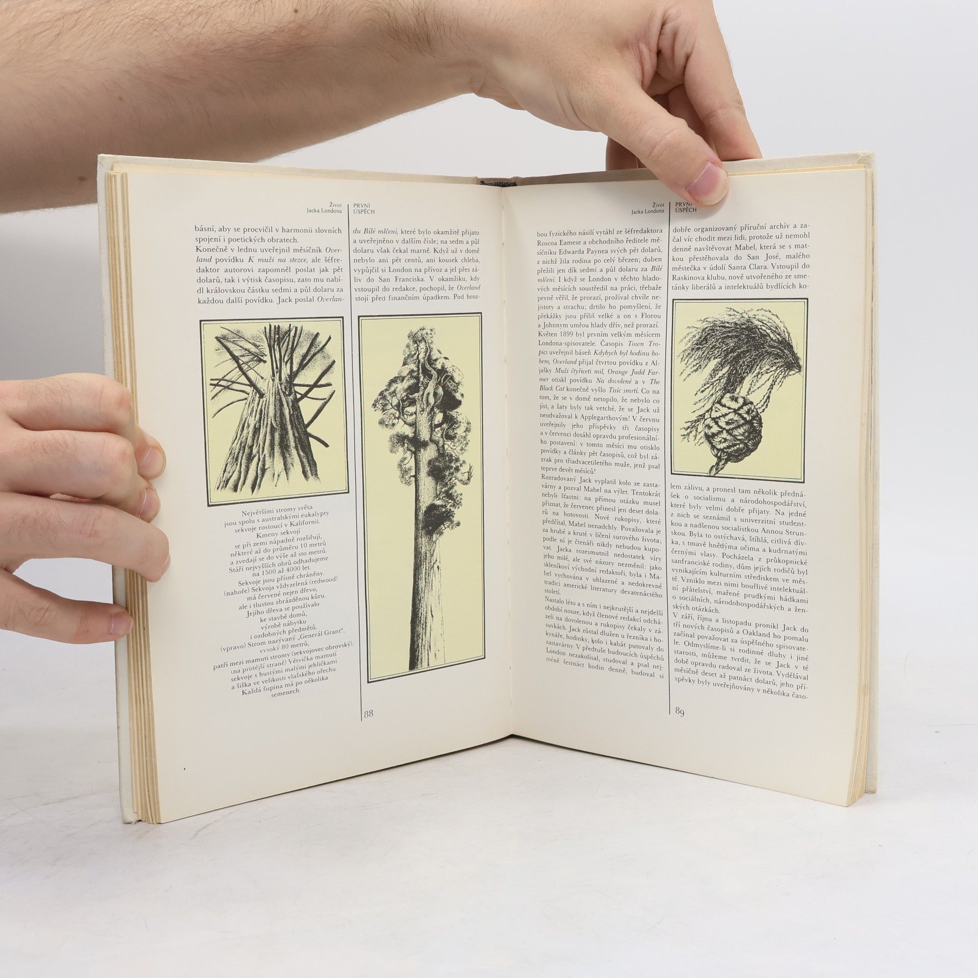 Jack London Láska k životu aneb Kniha o podivuhodném a dobrodružném životě, díle, láskách, bojích a smrti Jacka Londona, spisovatele, zlatokopa, námořníka, tuláka a snílka