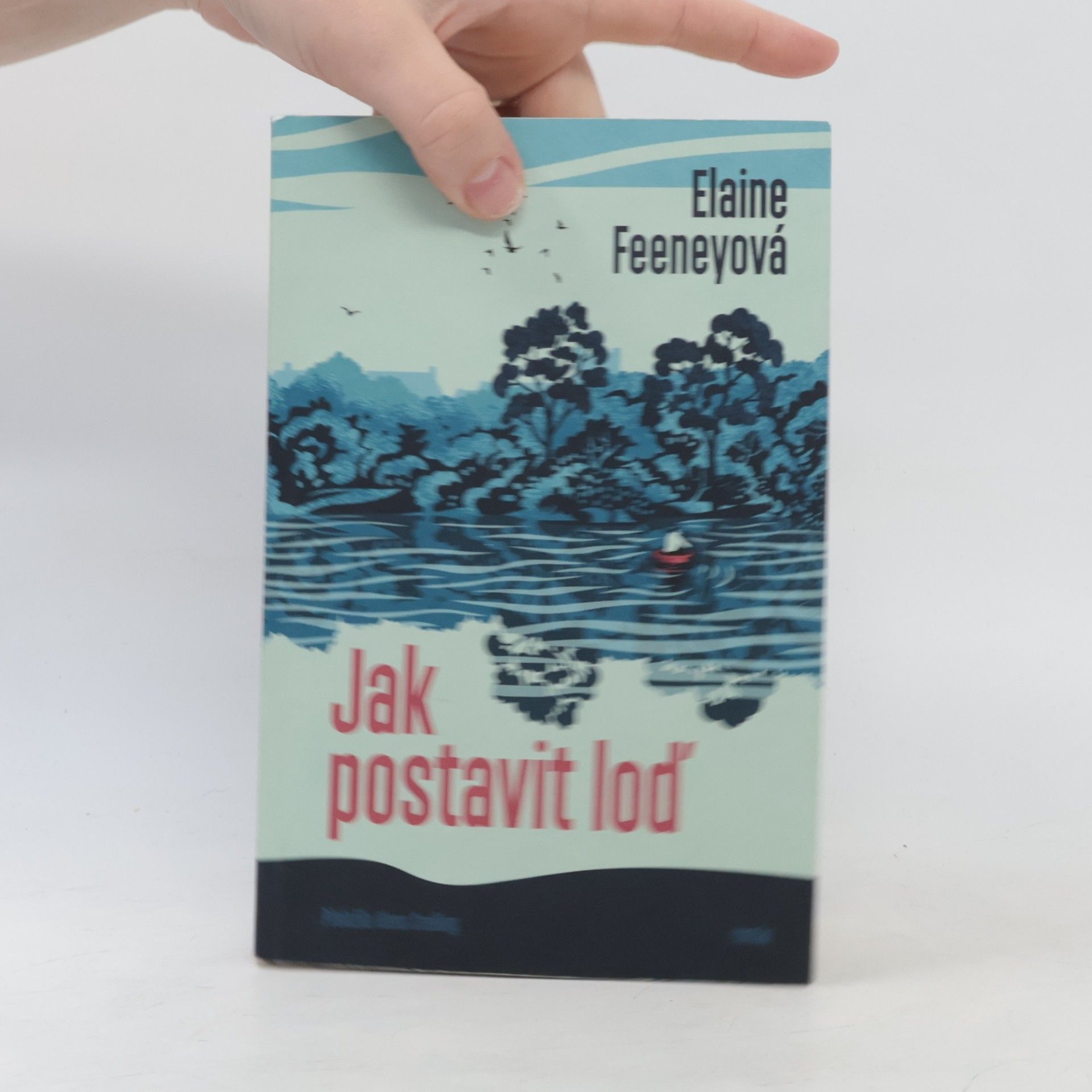 Elaine Feeney Jak postavit loď