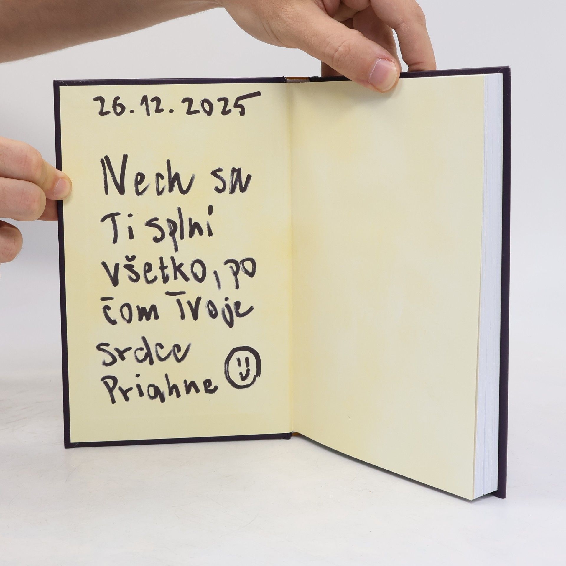 Stéphane Garnier Ži ako Malý princ