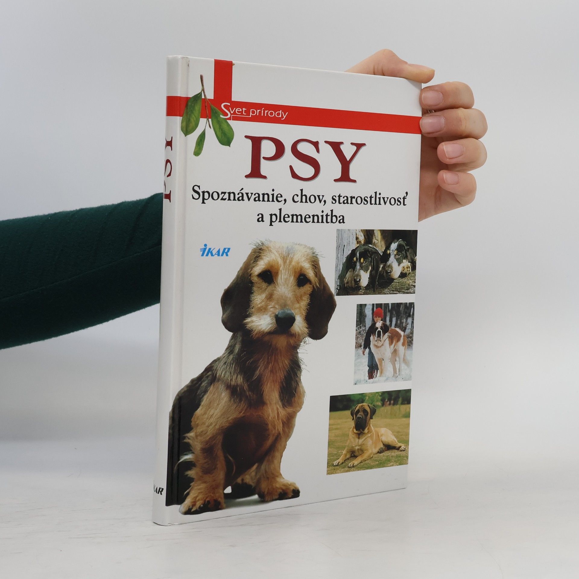Psy