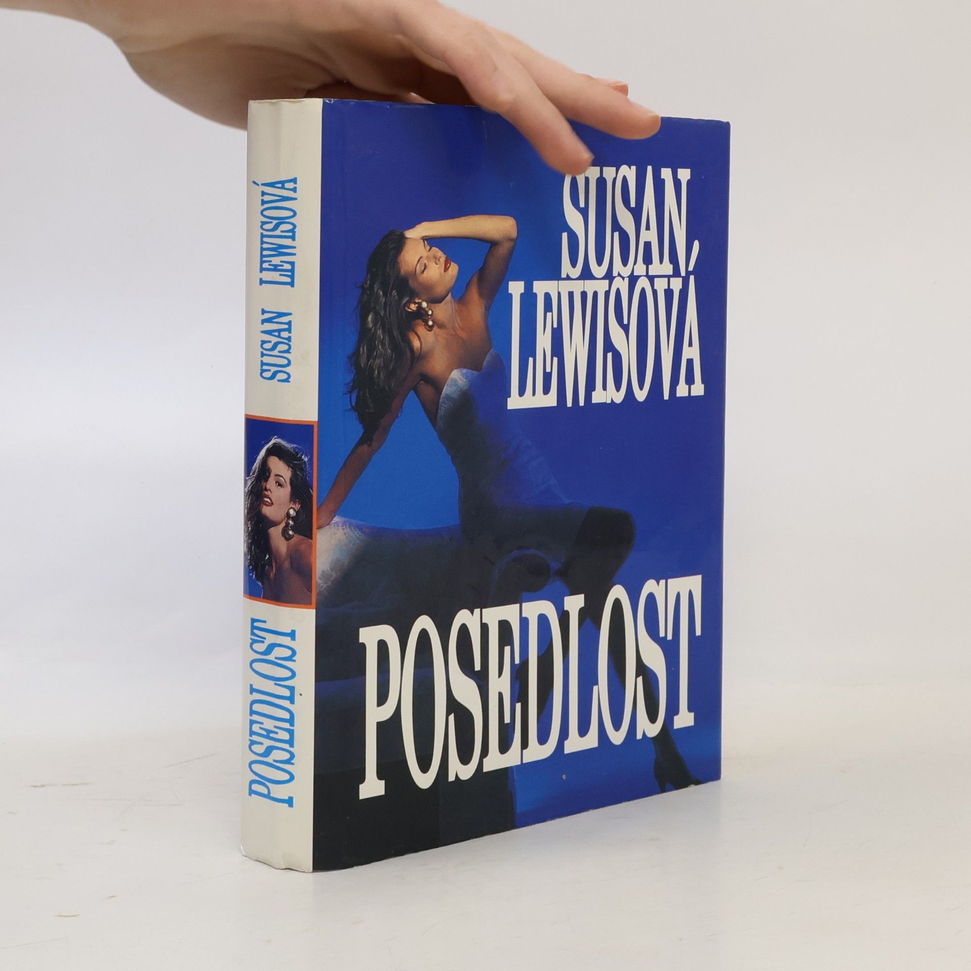 Susan Lewis Posedlost