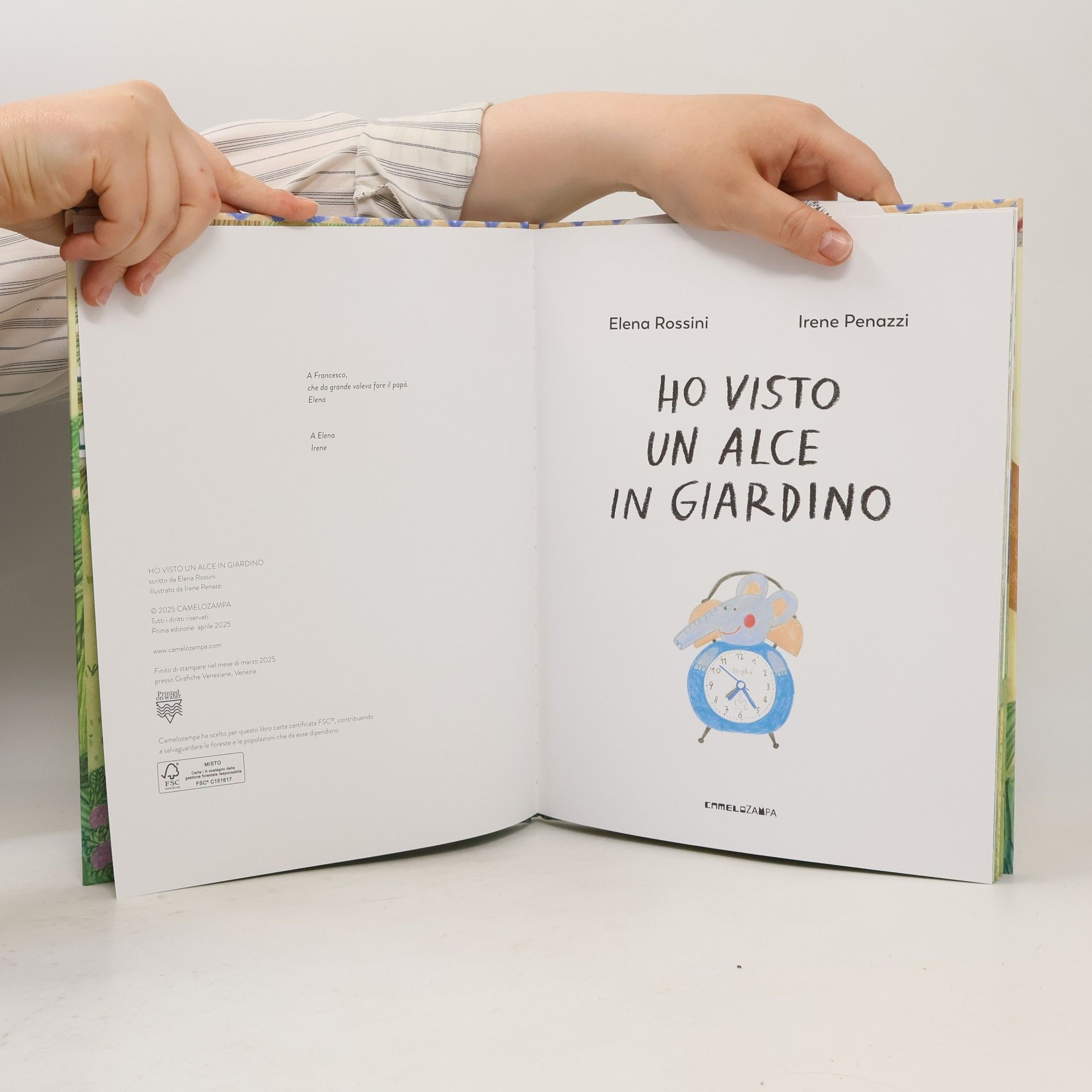 Elena Rossini Le piume: Ho visto un alce in giardino