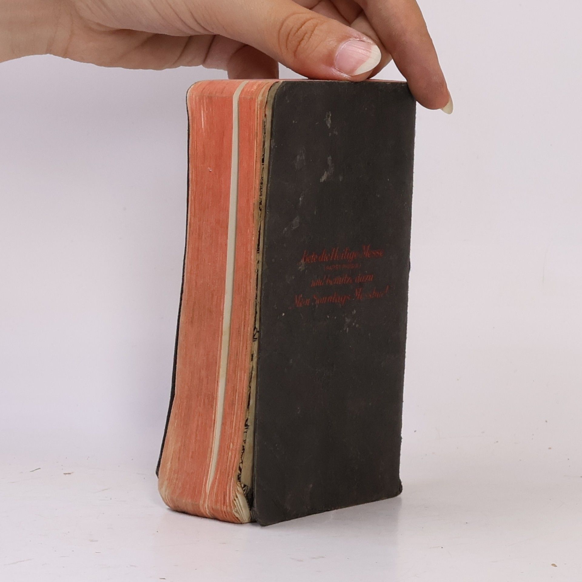 Joseph F. Stedman Mein Sonntags-Messbuch