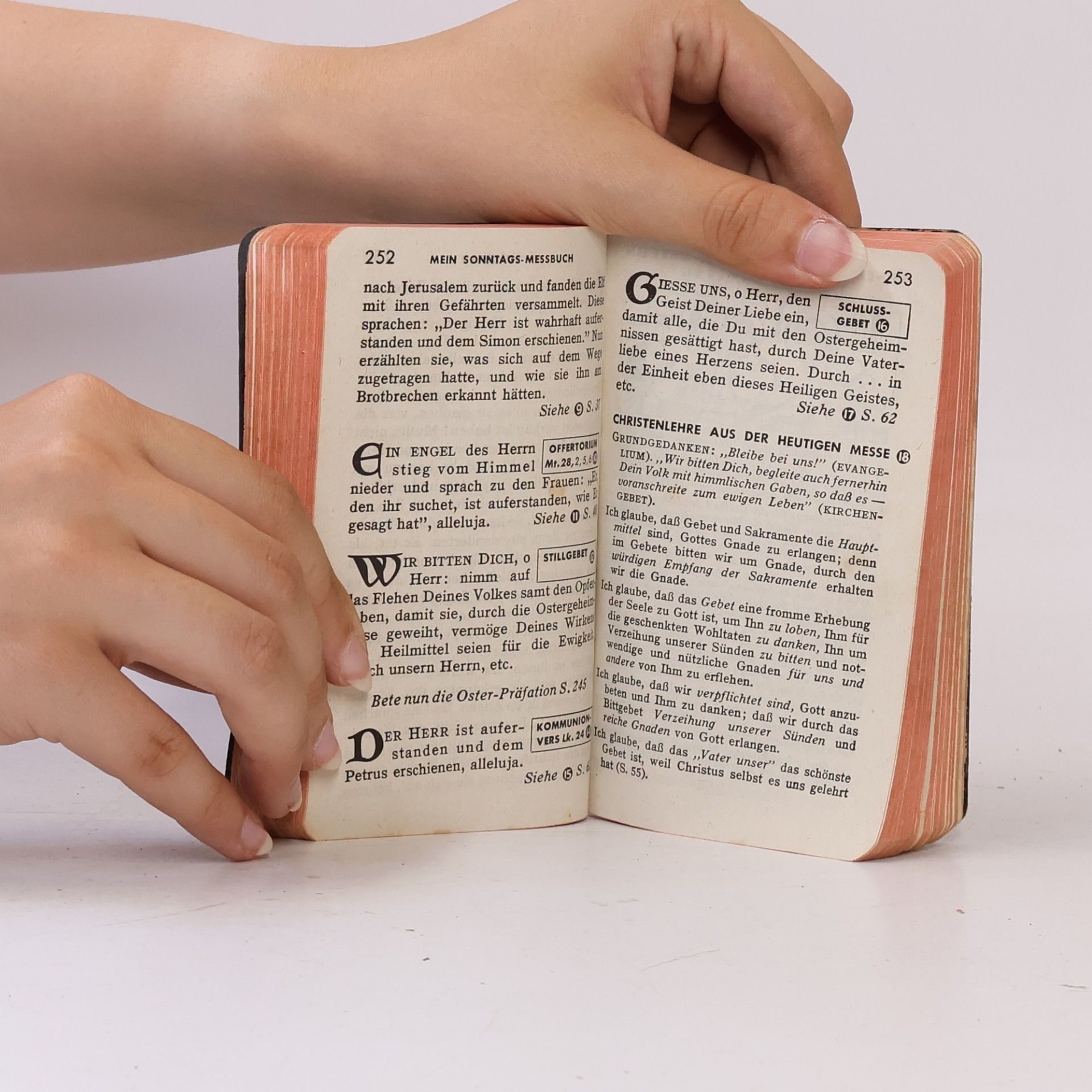 Joseph F. Stedman Mein Sonntags-Messbuch