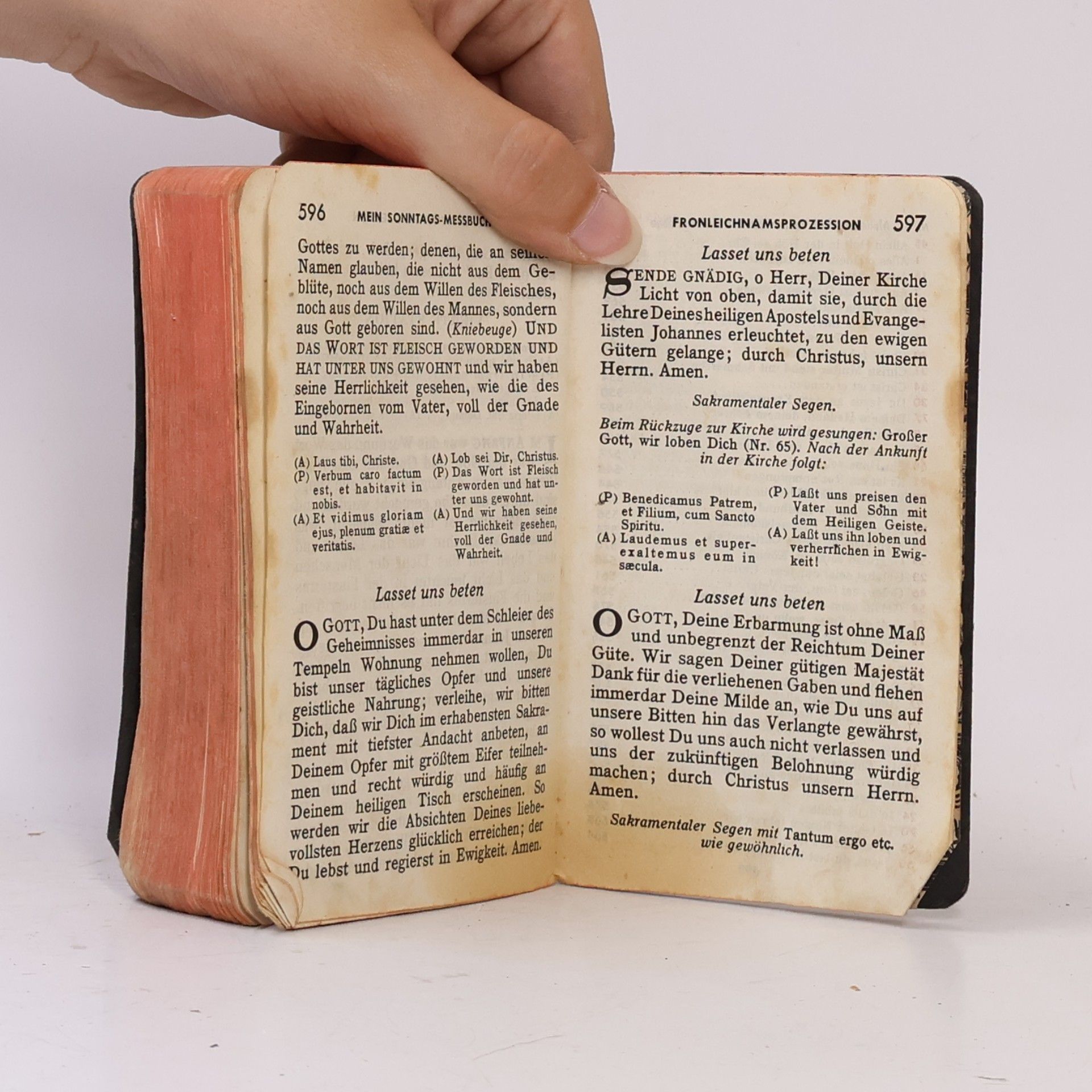 Joseph F. Stedman Mein Sonntags-Messbuch